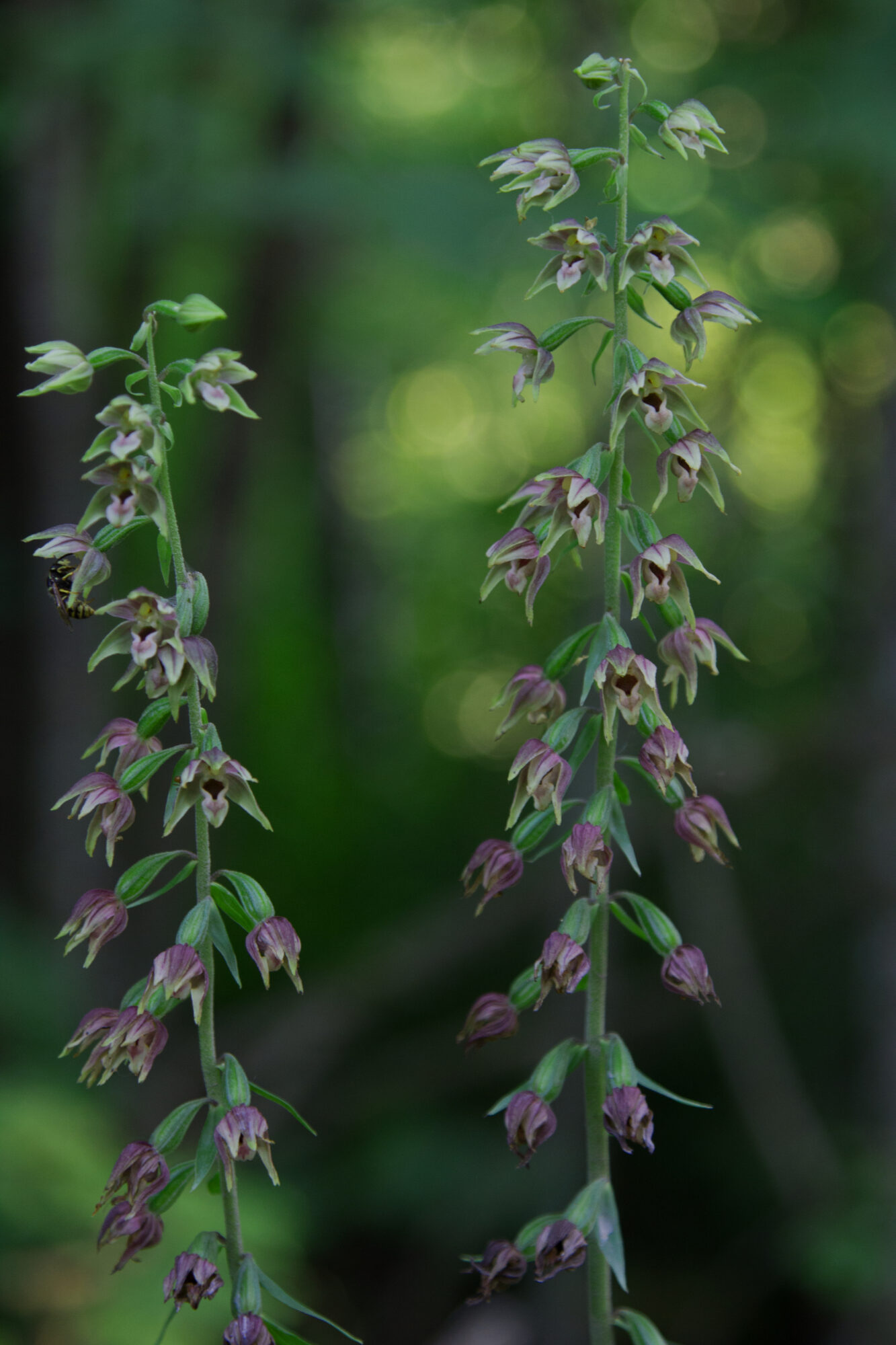 Valokuvaaja: Tuire Jalaskoski Valokuvaaja: Tuire Jalaskoski