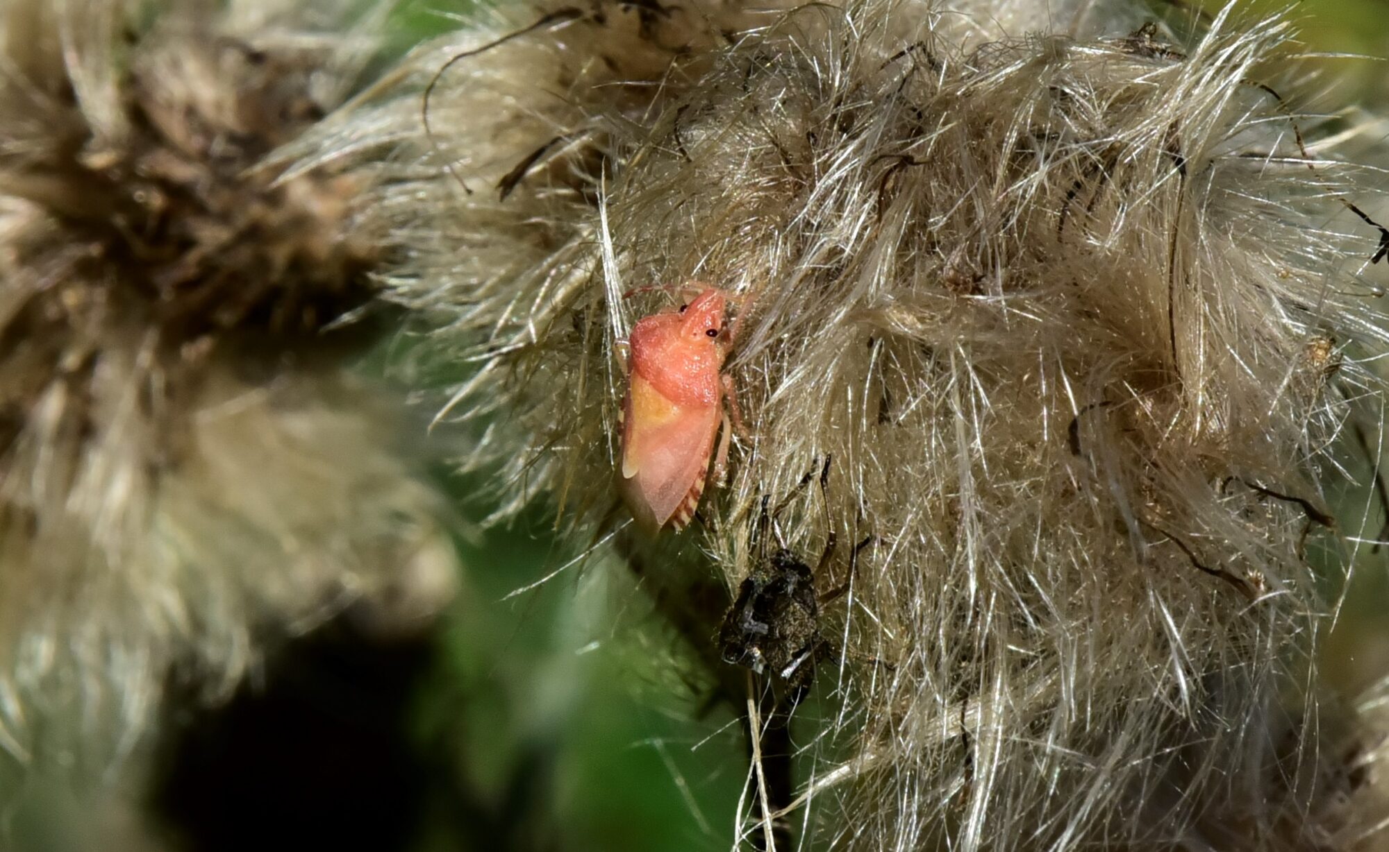 Valokuvaaja: Yvonne Okkola