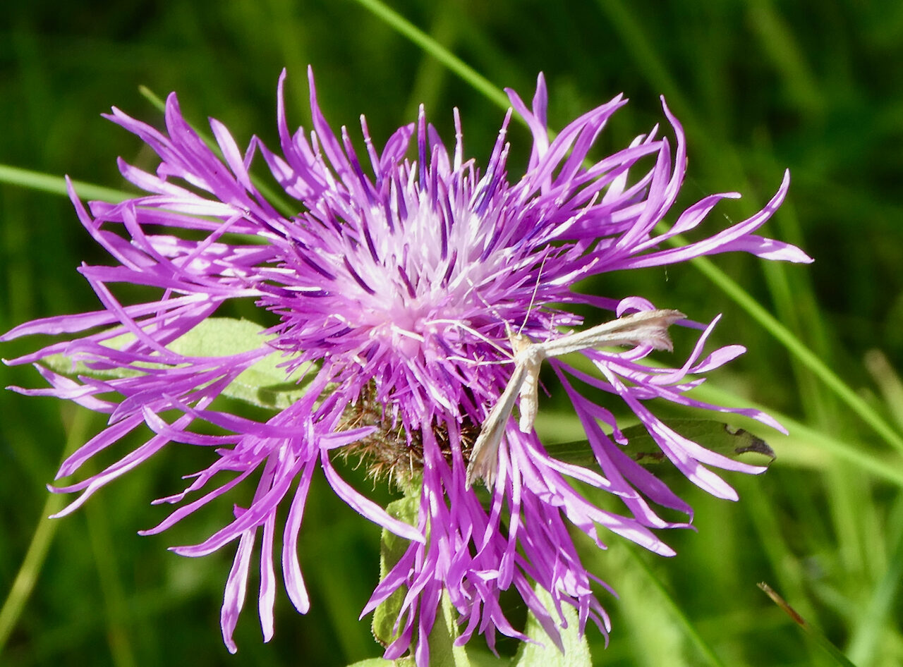 Valokuvaaja: Liisa Niiva-Korpela