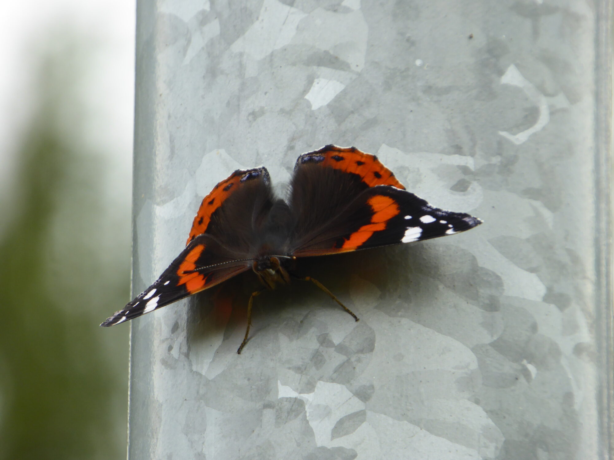 Valokuvaaja: Toni Asikainen