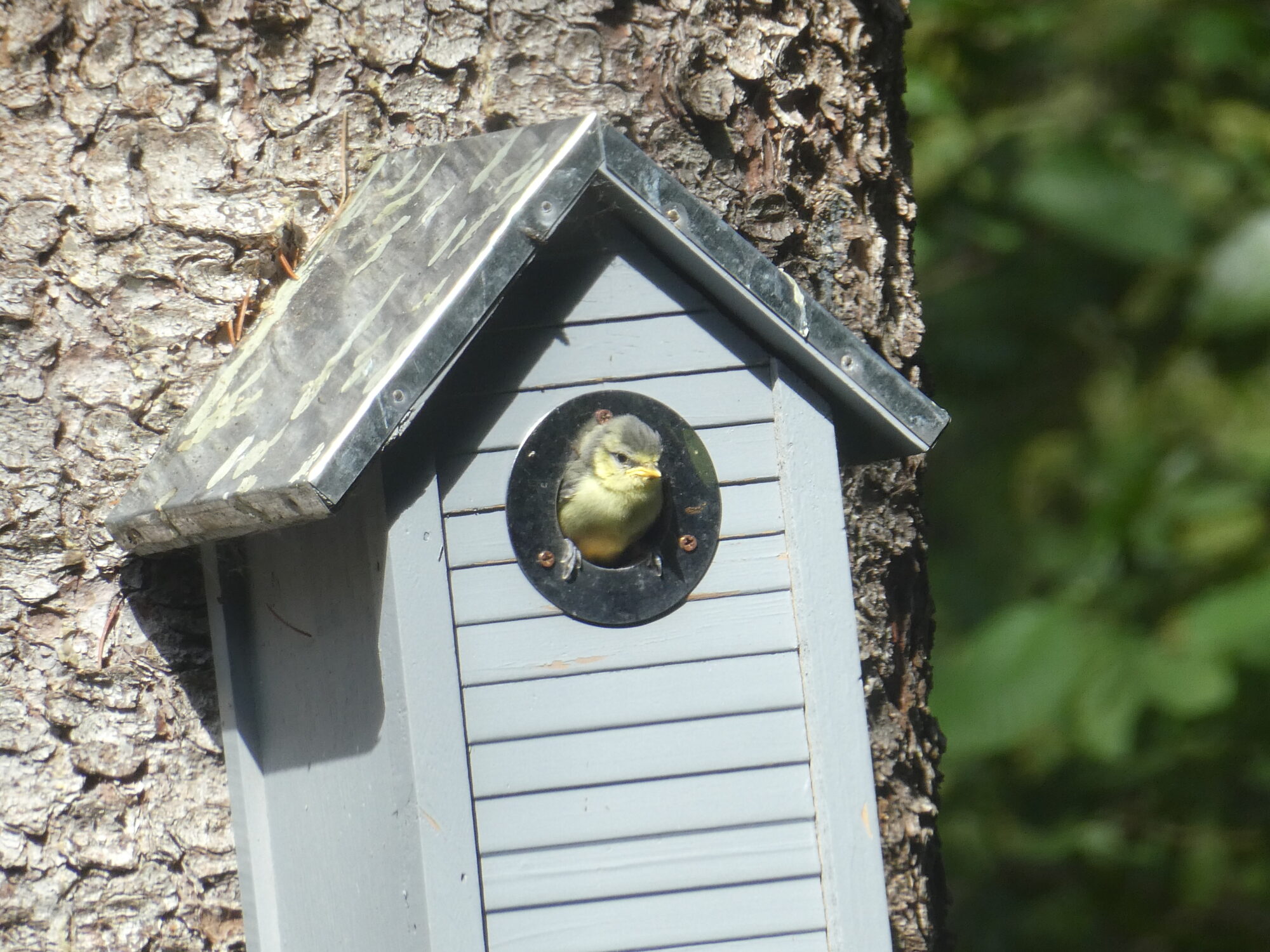 Valokuvaaja: Anja Mustamaa Valokuvaaja: Anja Mustamaa