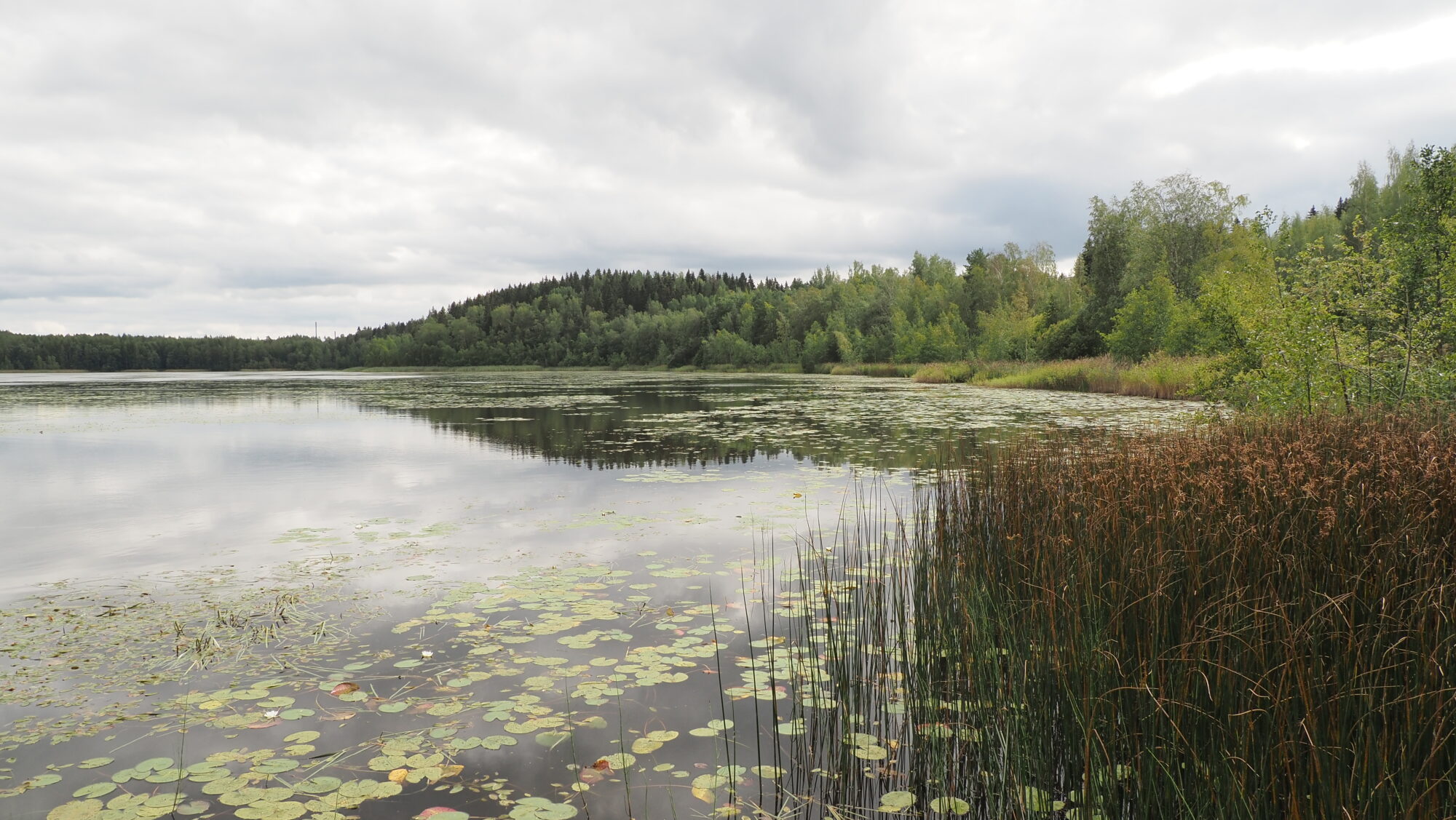 Valokuvaaja: Arja Valtonen