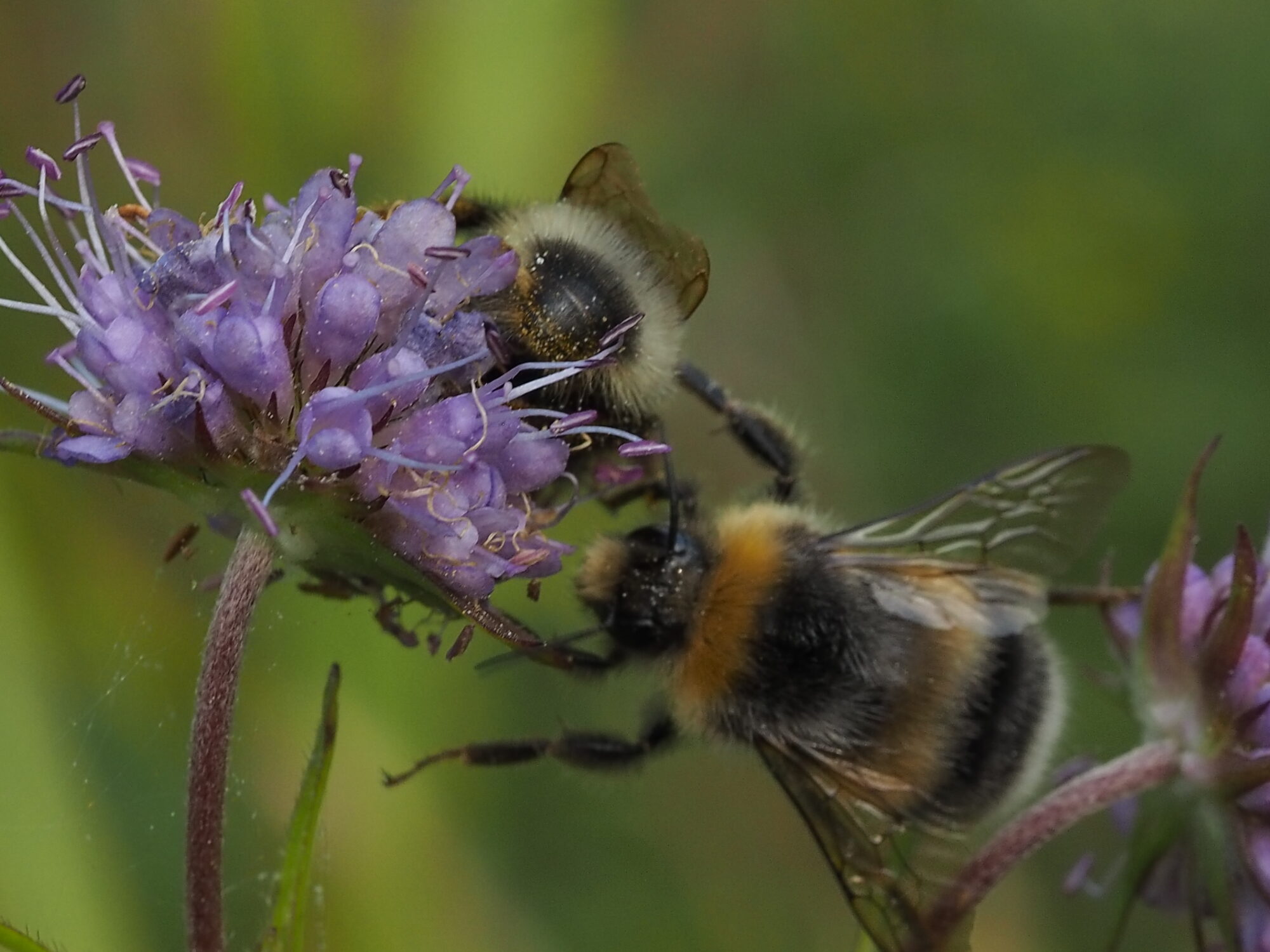 Valokuvaaja: Martti Valtonen