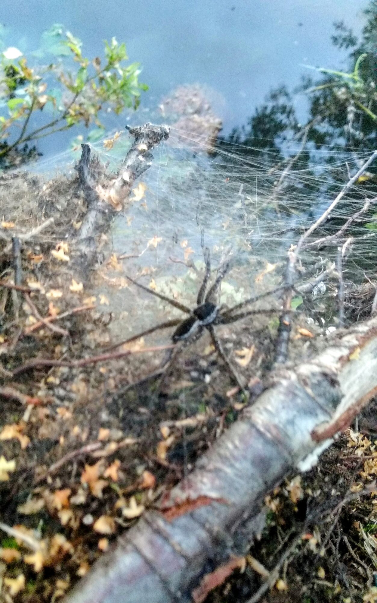 Valokuvaaja: Akseli Takanen