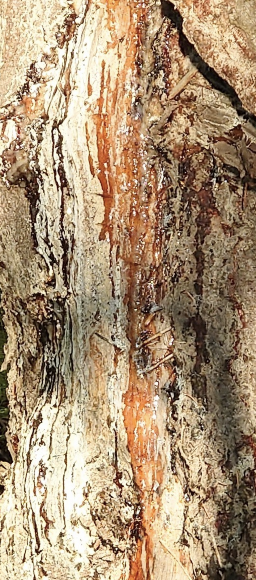 Valokuvaaja: Jouni Roppola.