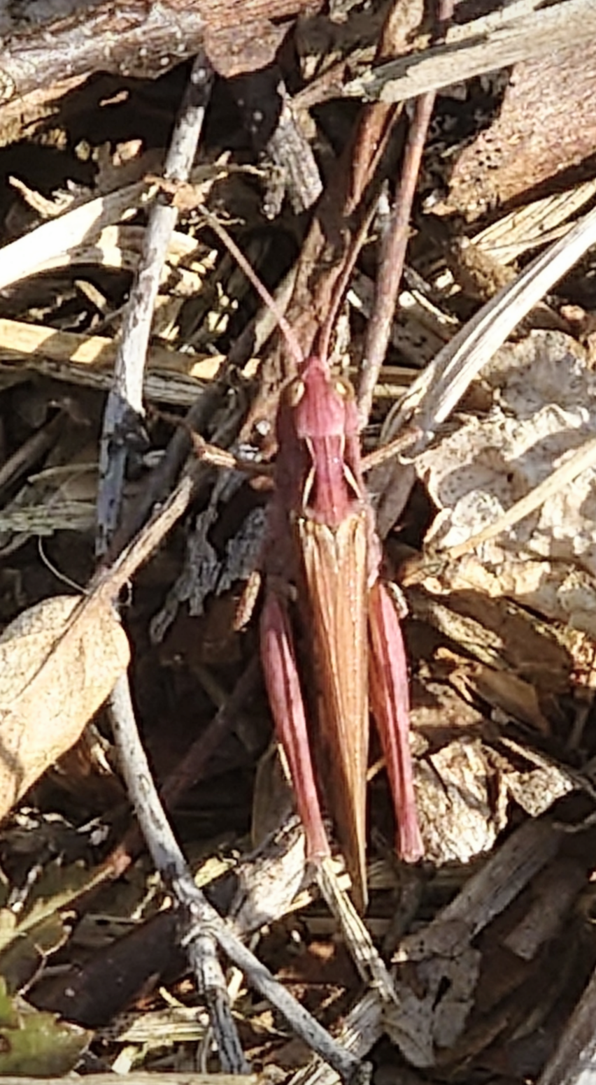 Valokuvaaja: Jouni Roppola.