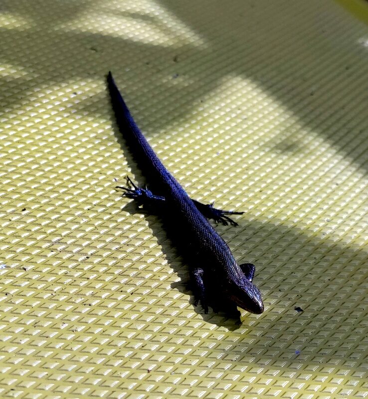 Valokuvaaja: Helena Sytelä