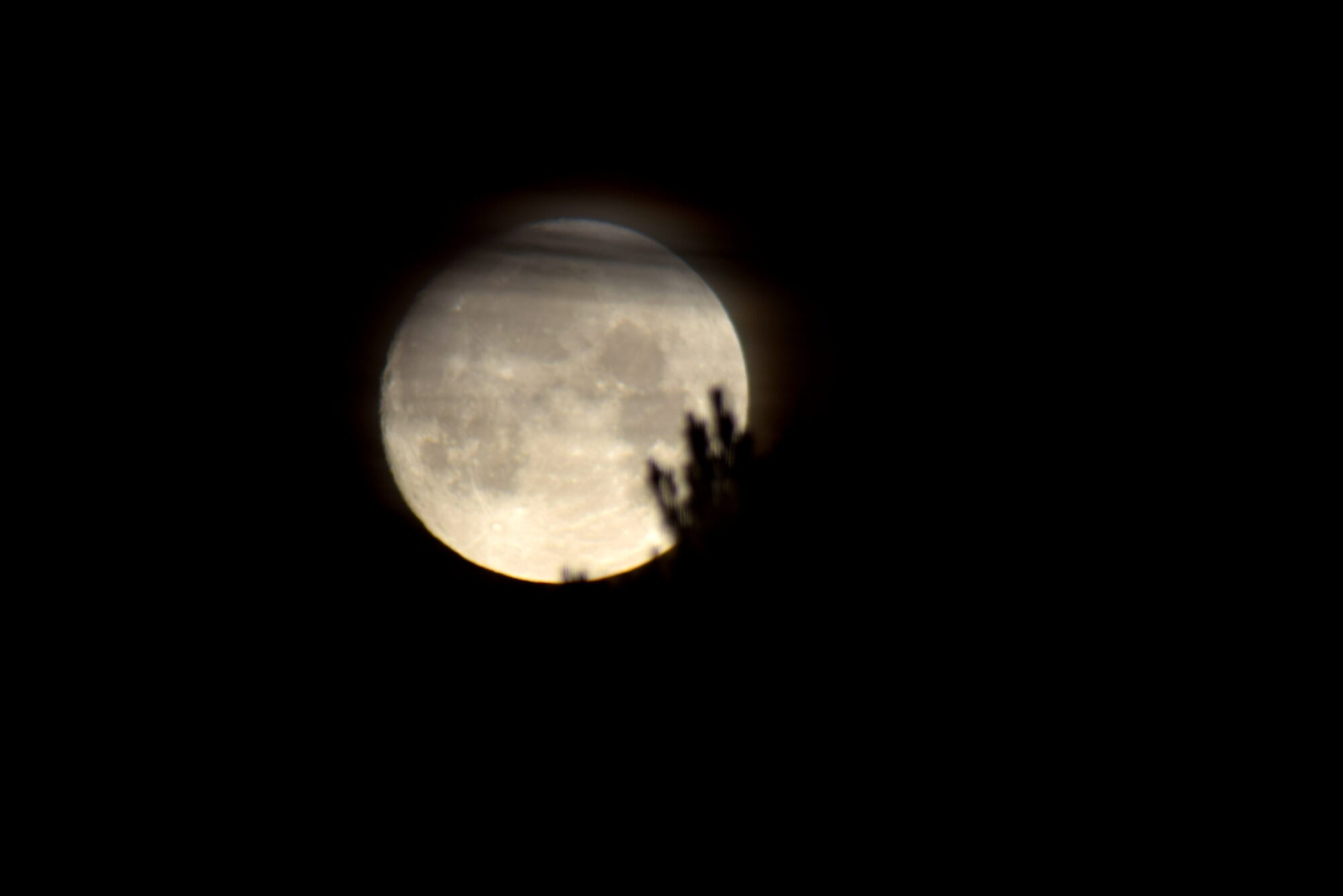 Valokuvaaja: Kaarlo Asikainen