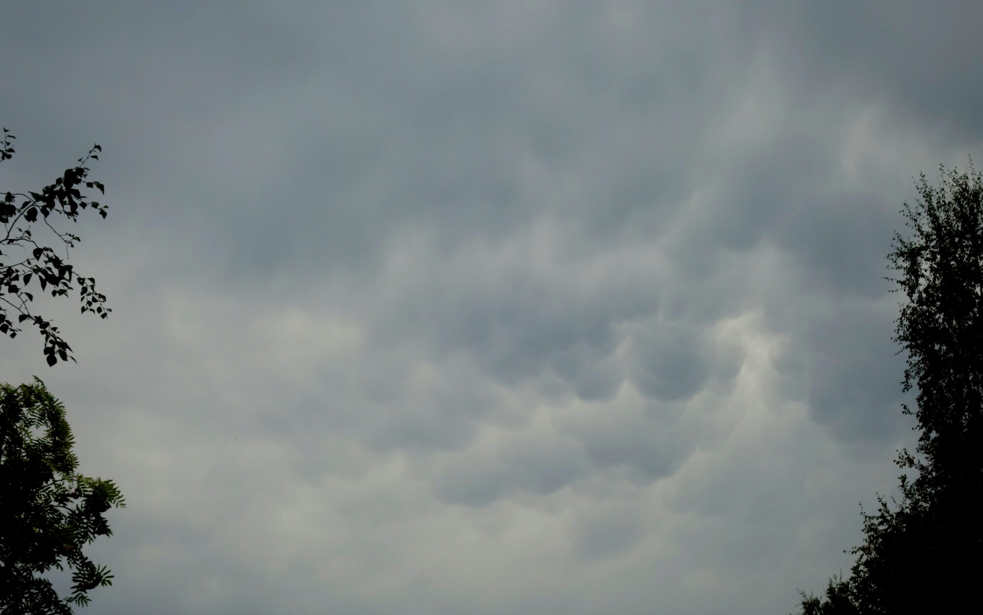 Valokuvaaja: Kaarlo Asikainen