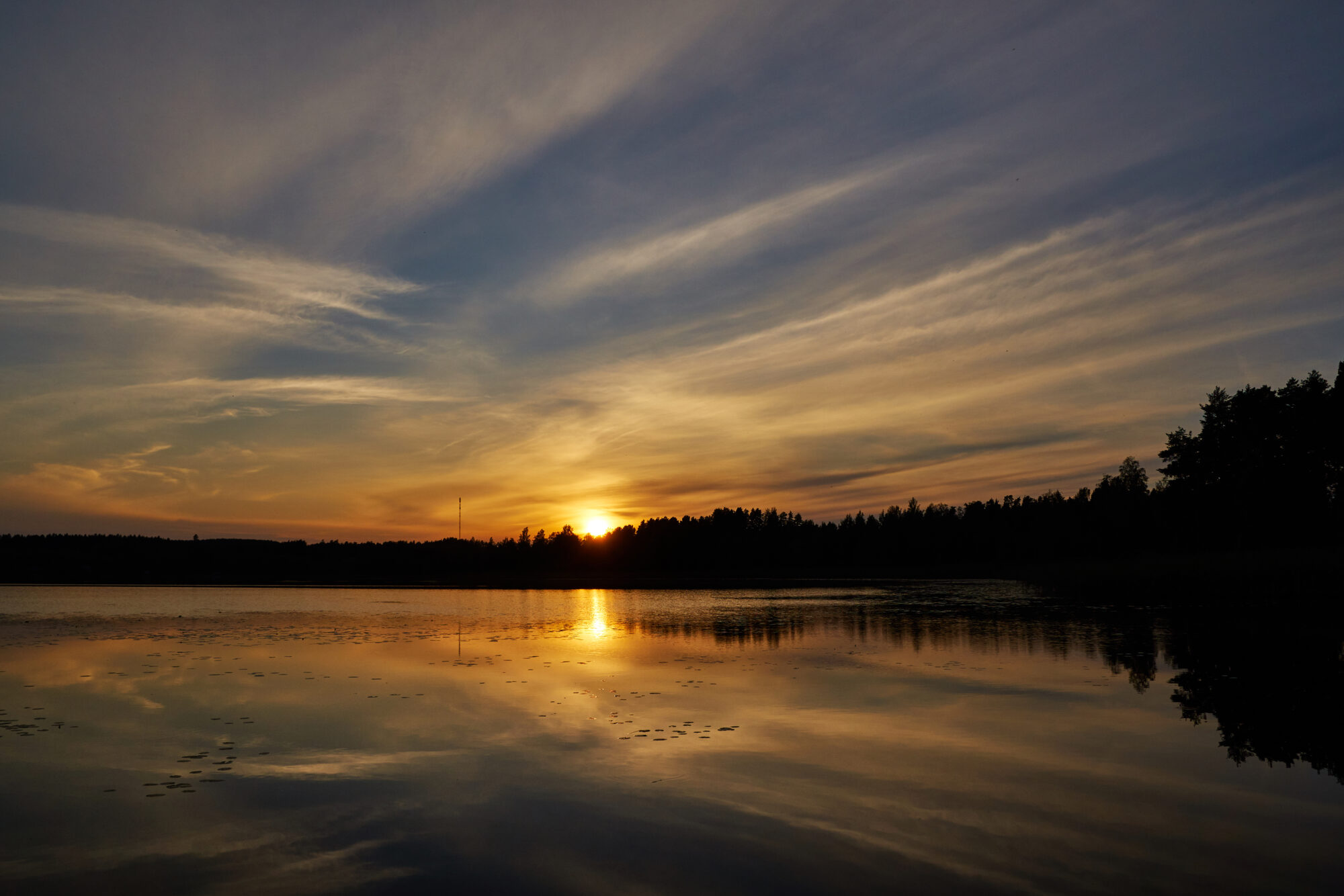 Valokuvaaja: Tarja Kouvo