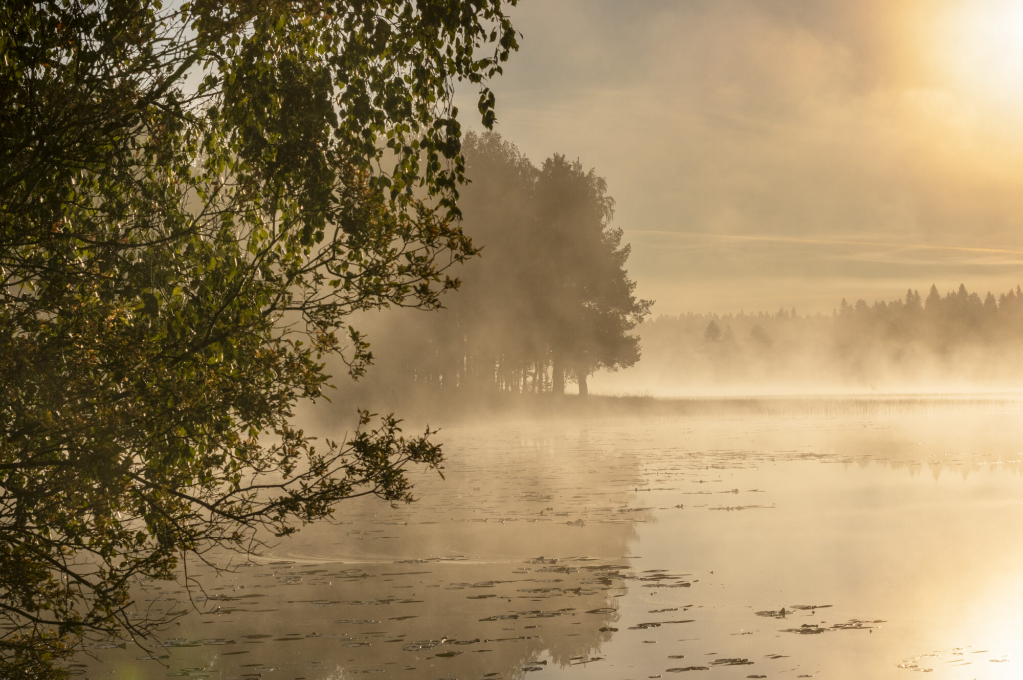 Valokuvaaja: Hannu Tikkanen