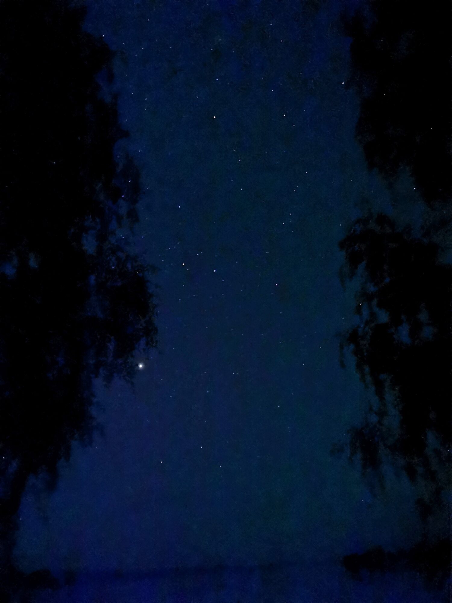 Valokuvaaja: Jaana Saarelainen