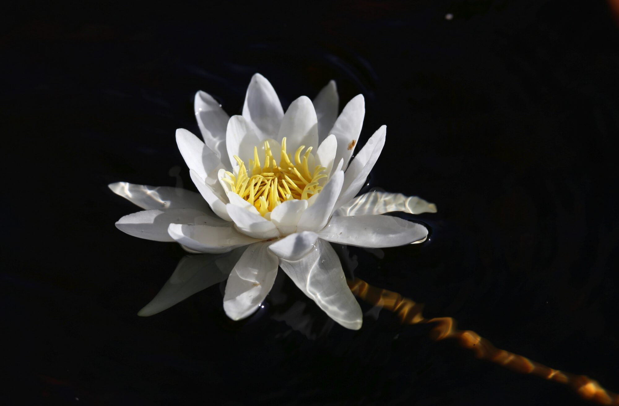 Valokuvaaja: Jaana Saarelainen