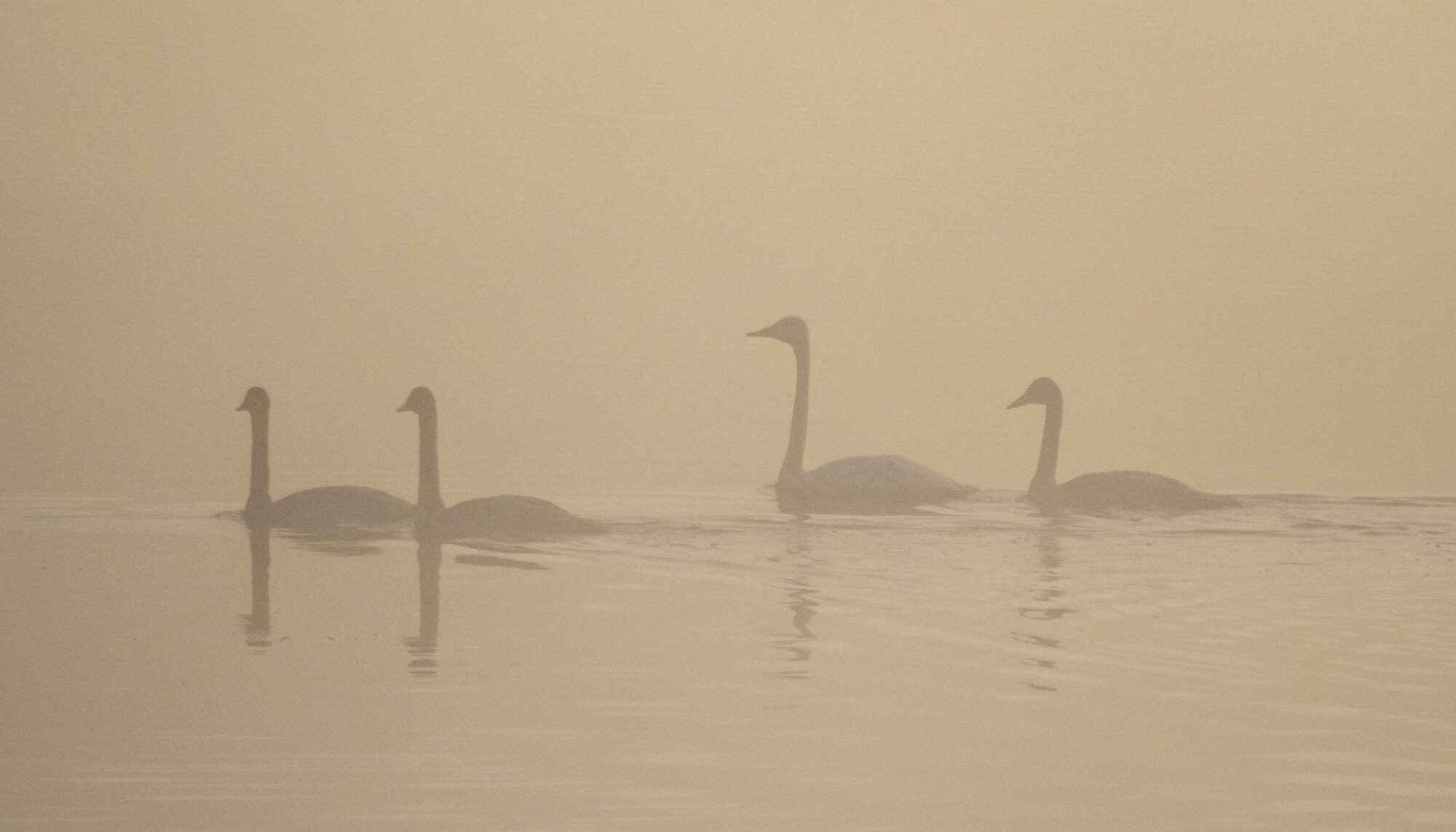 Valokuvaaja: Hannu Tikkanen