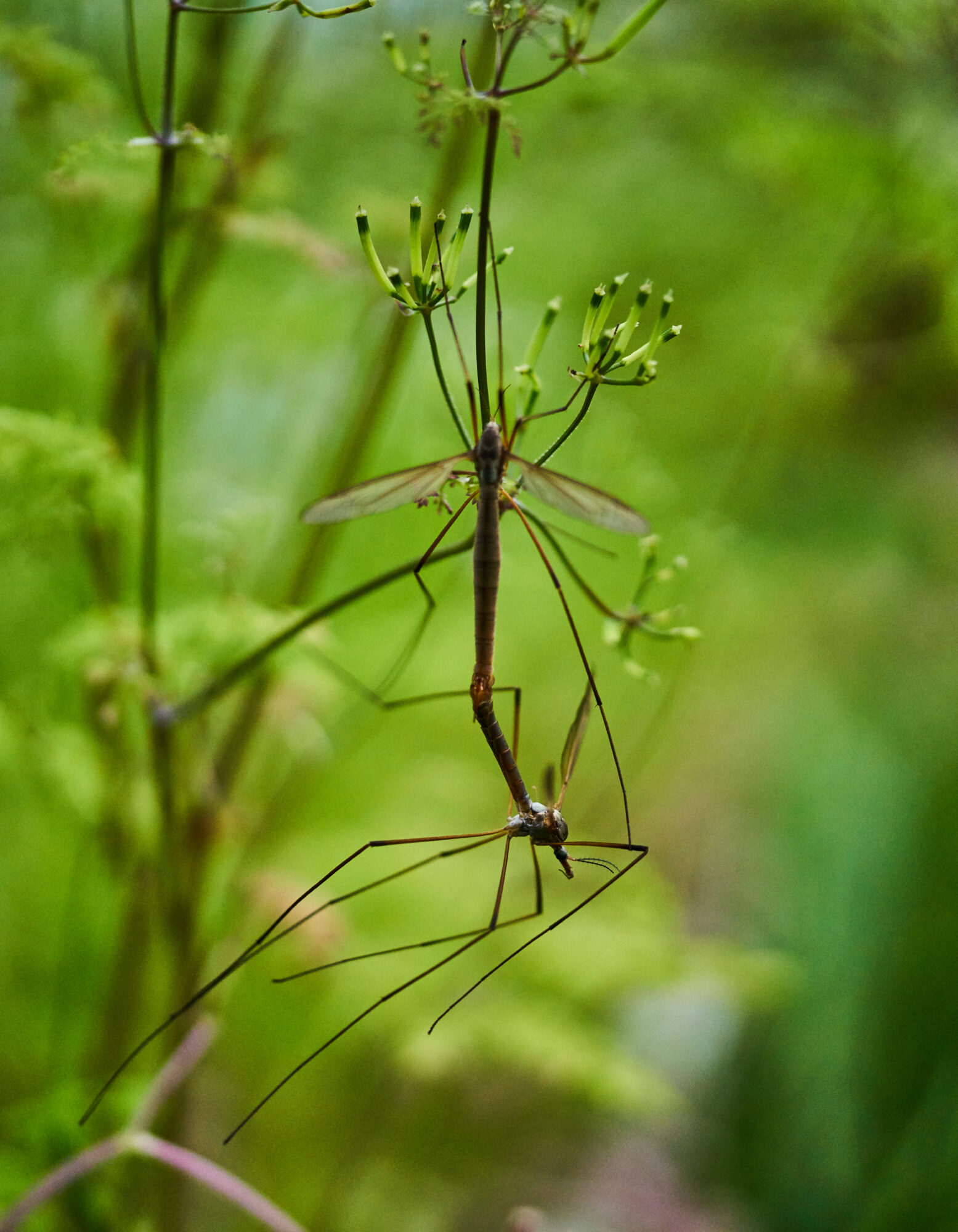 Valokuvaaja: Tarja Kouvo