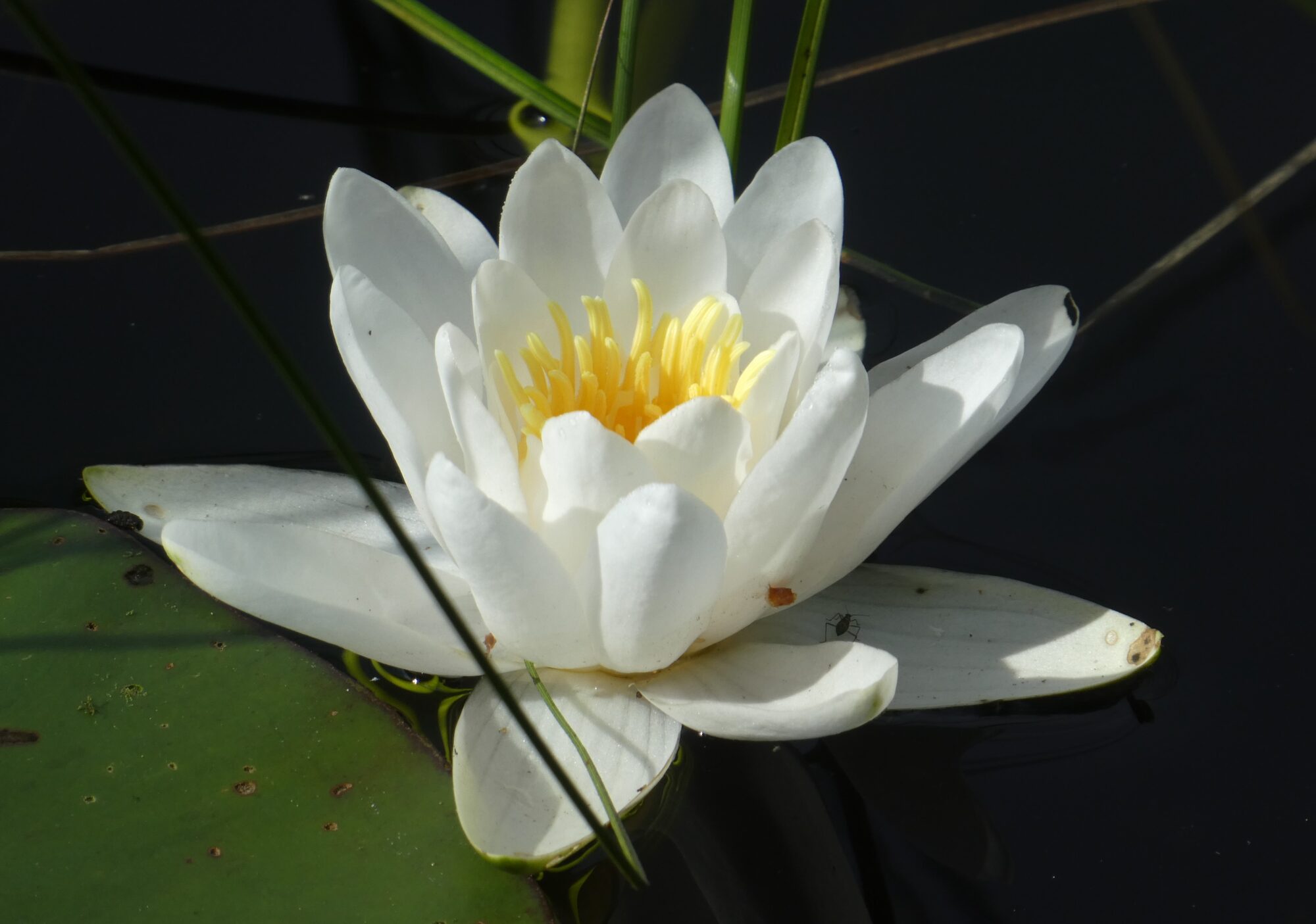 Valokuvaaja: Anja Mustamaa Valokuvaaja: Anja Mustamaa