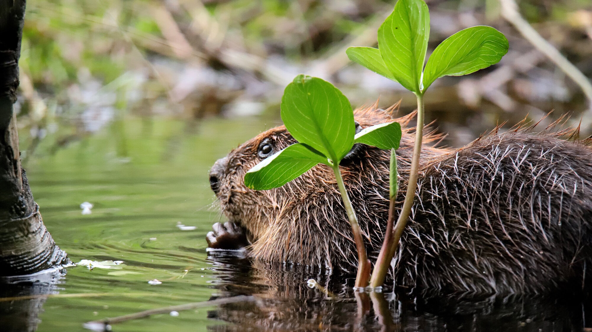 Valokuvaaja: sirpa Jyske