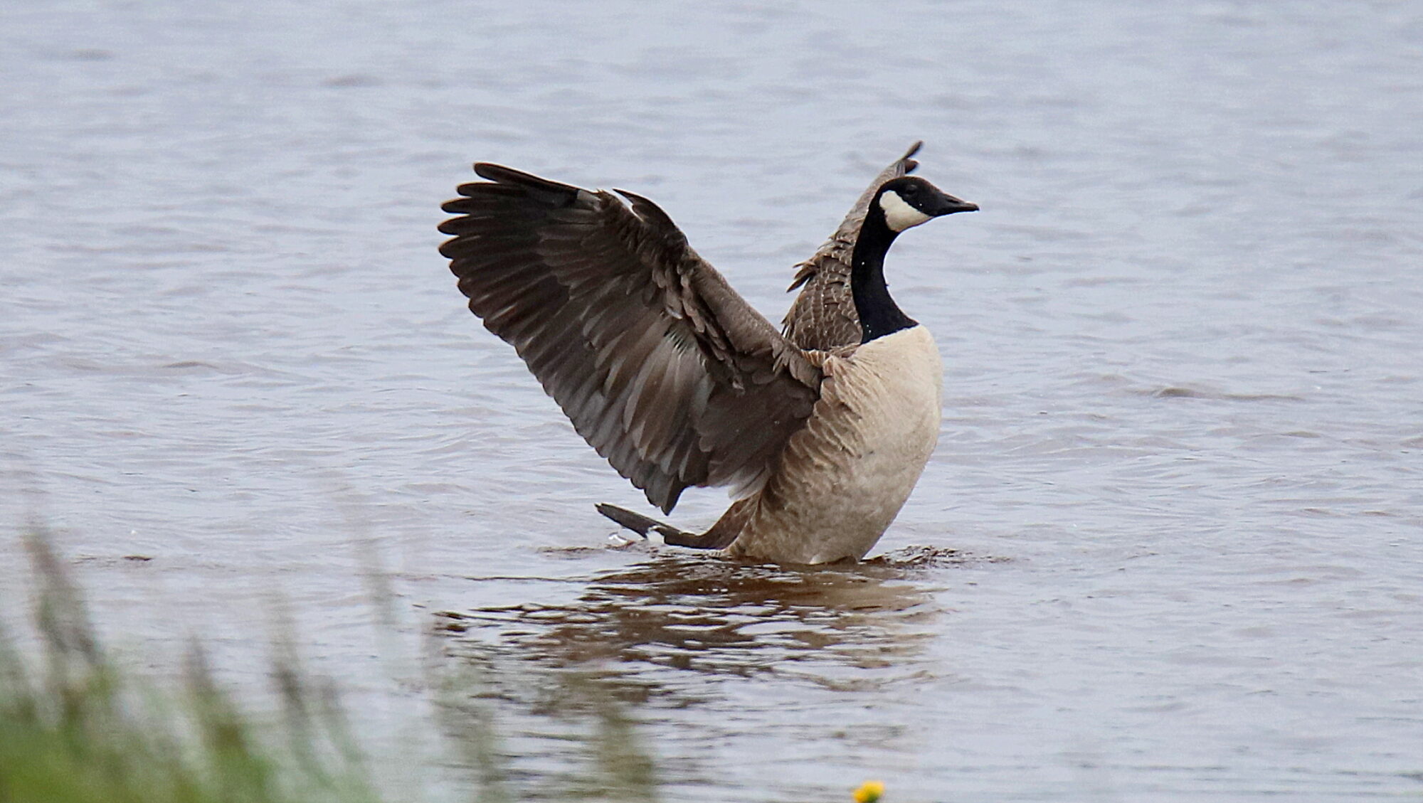 Valokuvaaja: sirpa Jyske