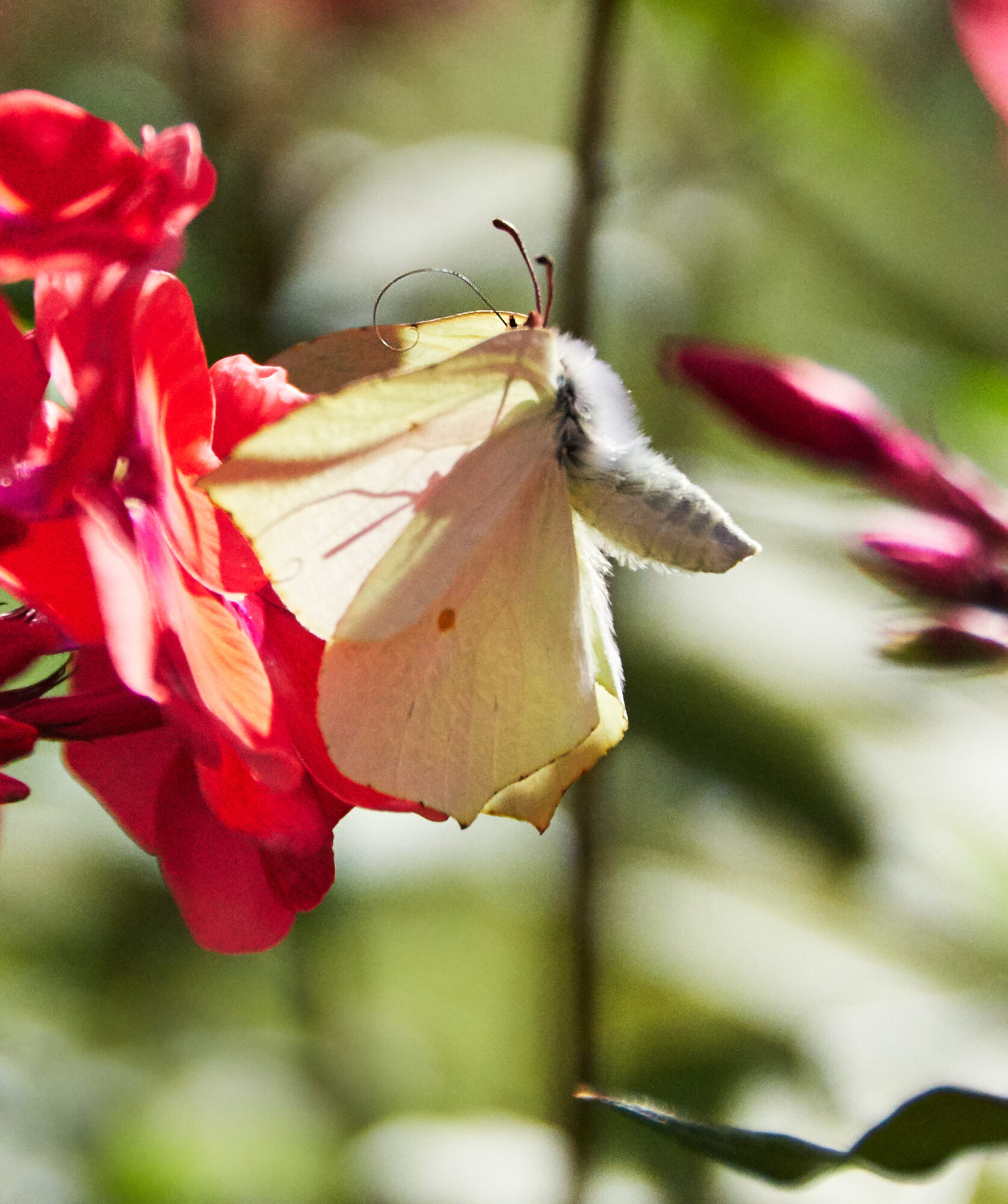 Valokuvaaja: Tarja Kouvo