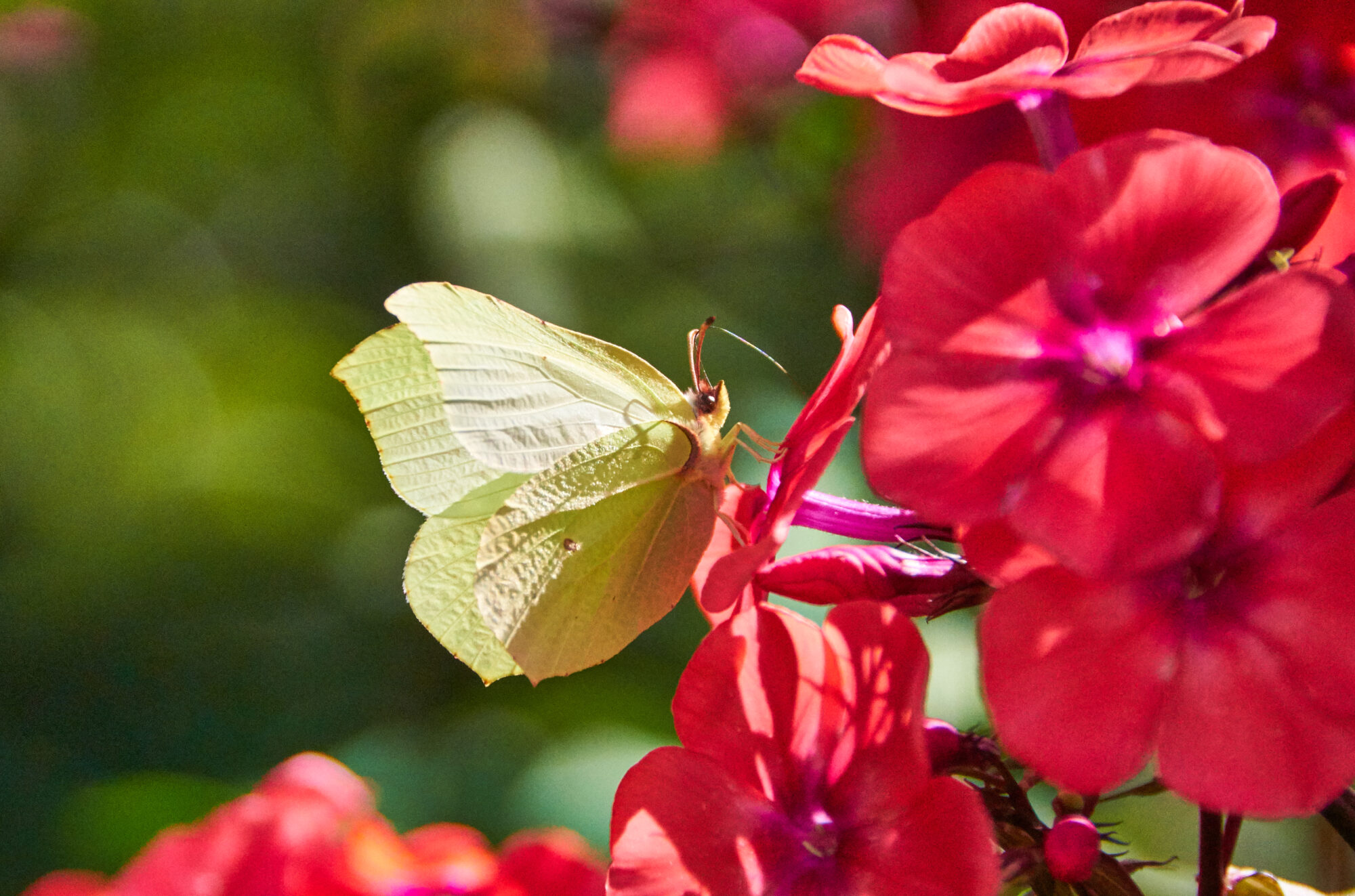 Valokuvaaja: Tarja Kouvo