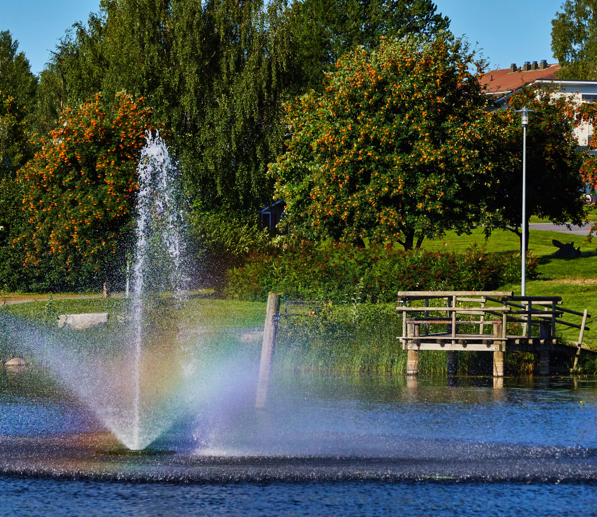 Valokuvaaja: Tarja Kouvo