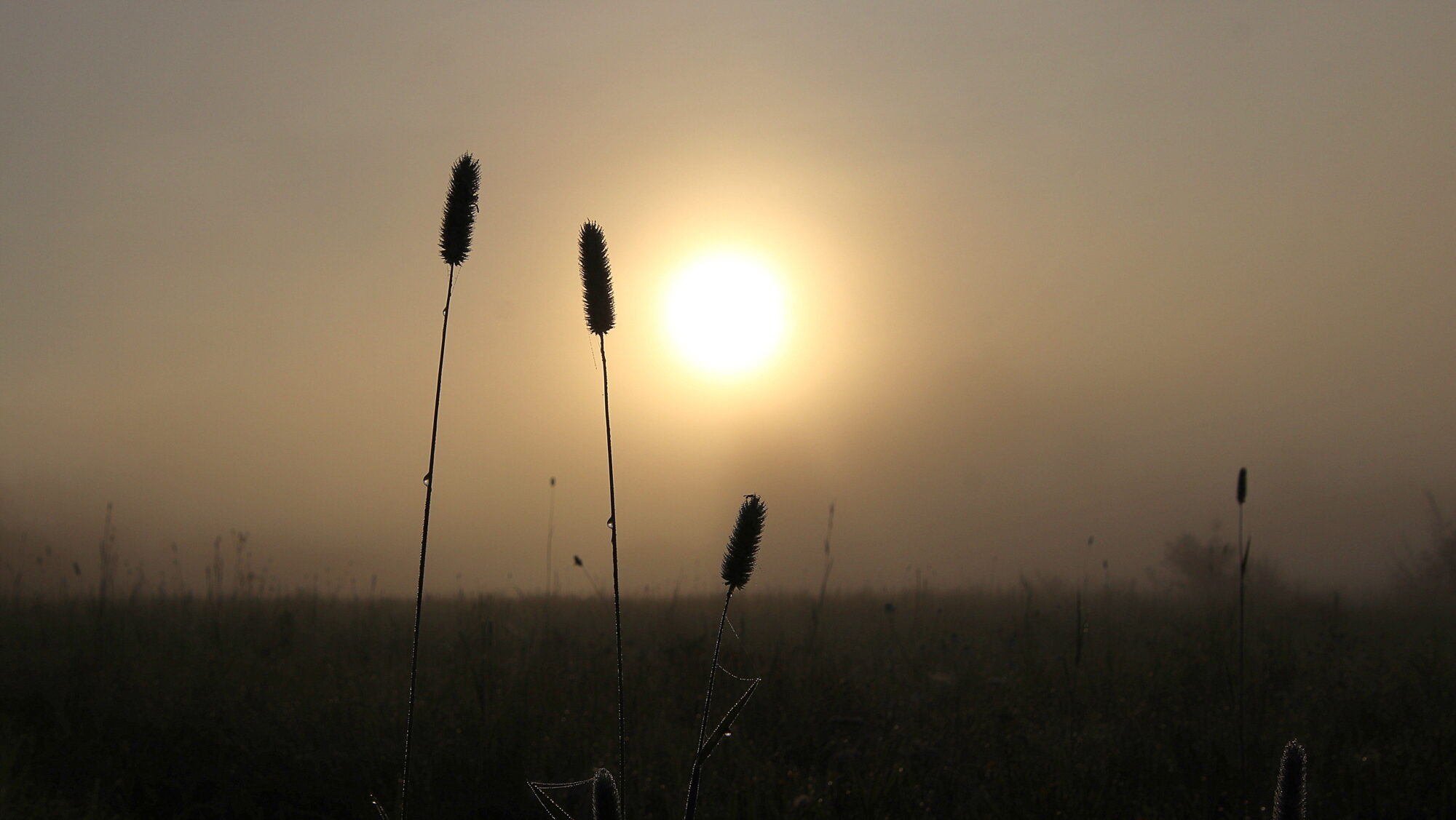 Valokuvaaja: sirpa Jyske
