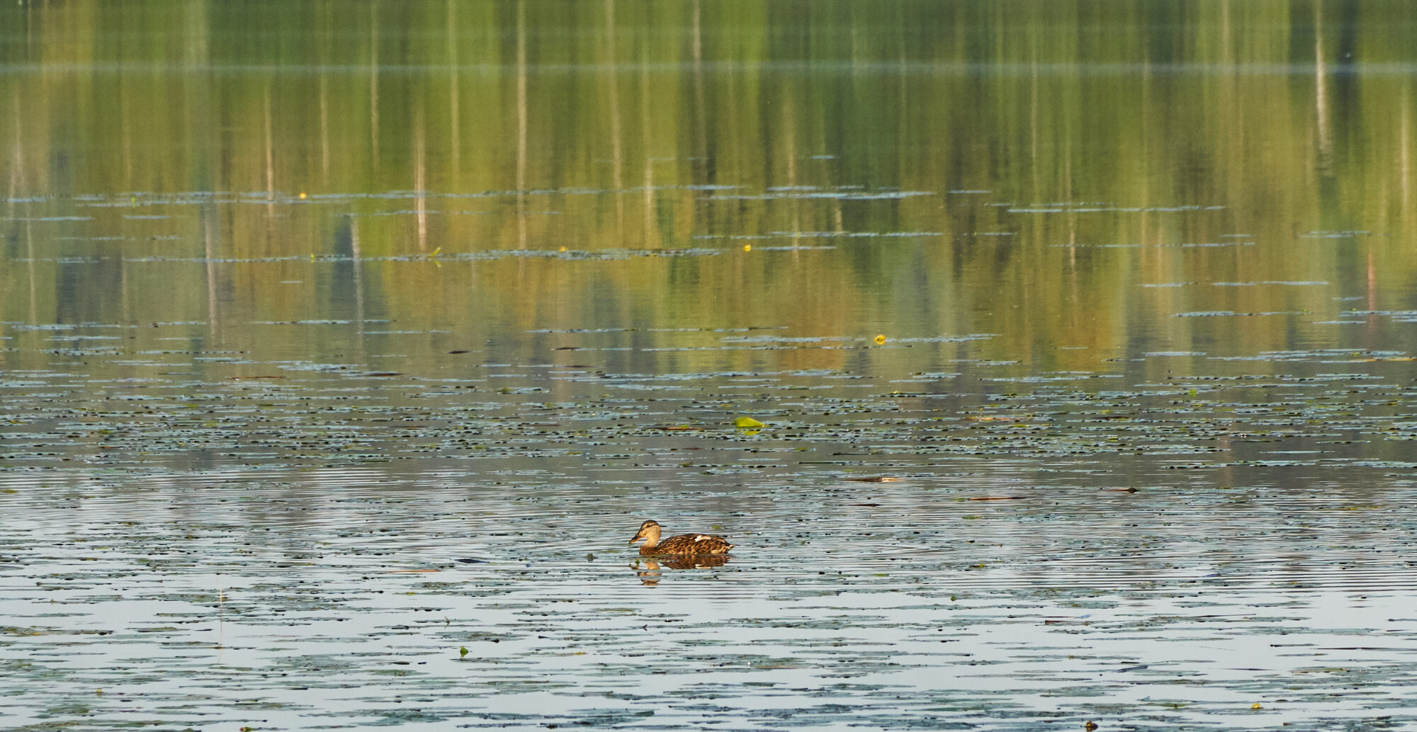 Valokuvaaja: Tarja Kouvo