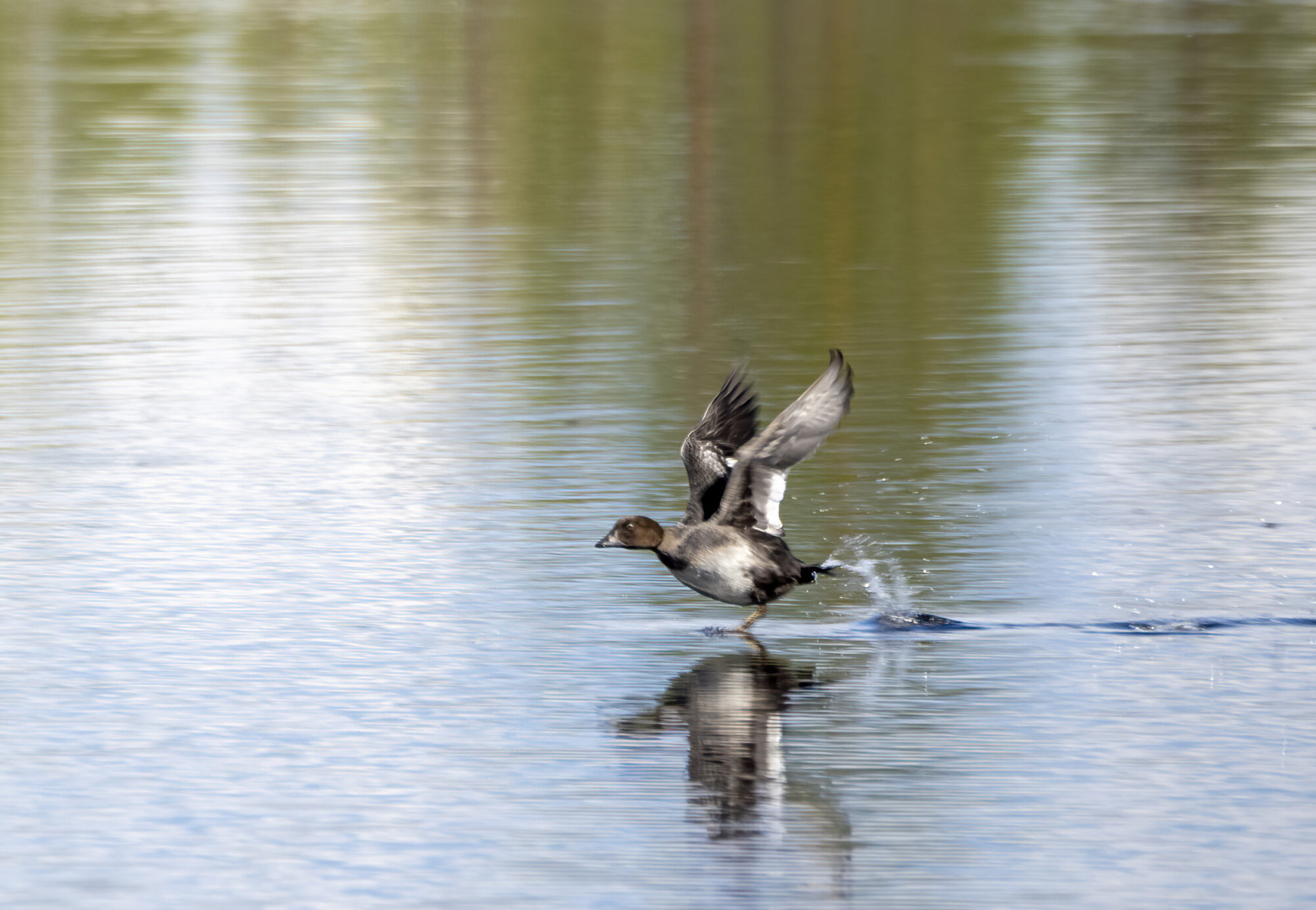 Valokuvaaja: Hannu Tikkanen