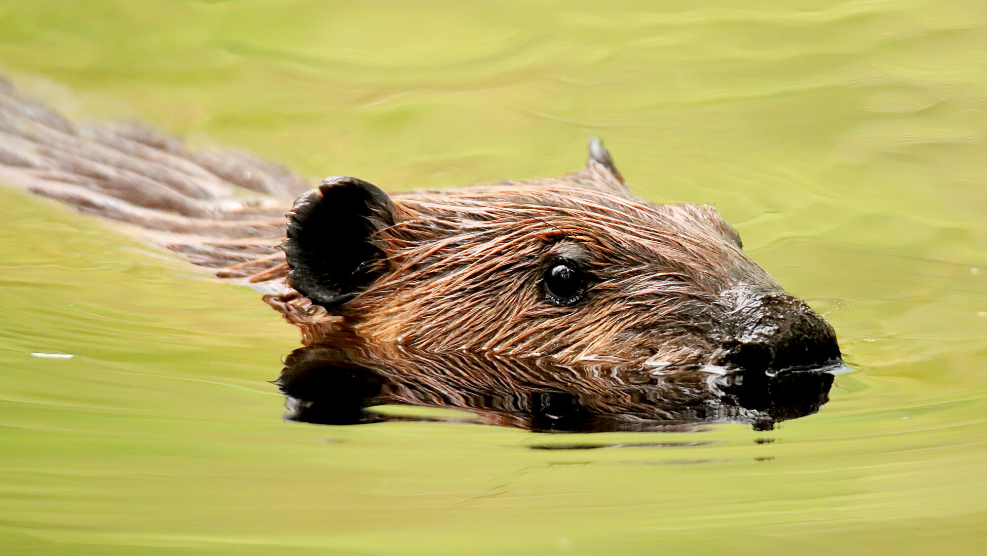 Valokuvaaja: sirpa Jyske