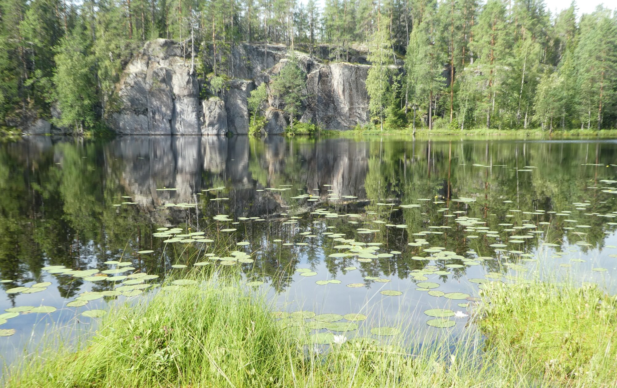Valokuvaaja: Anja Mustamaa