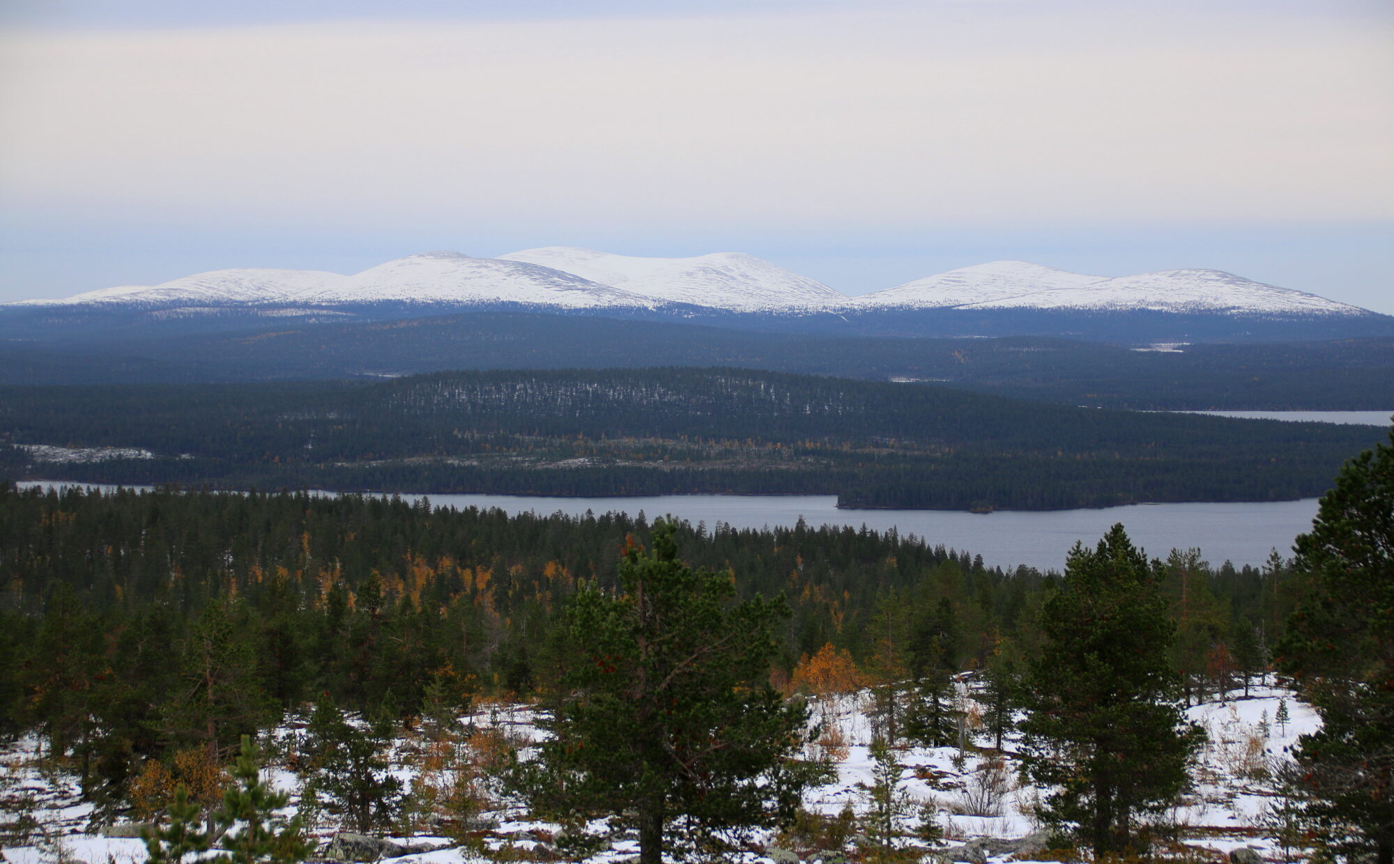 Valokuvaaja: Tuukka Pahtamaa
