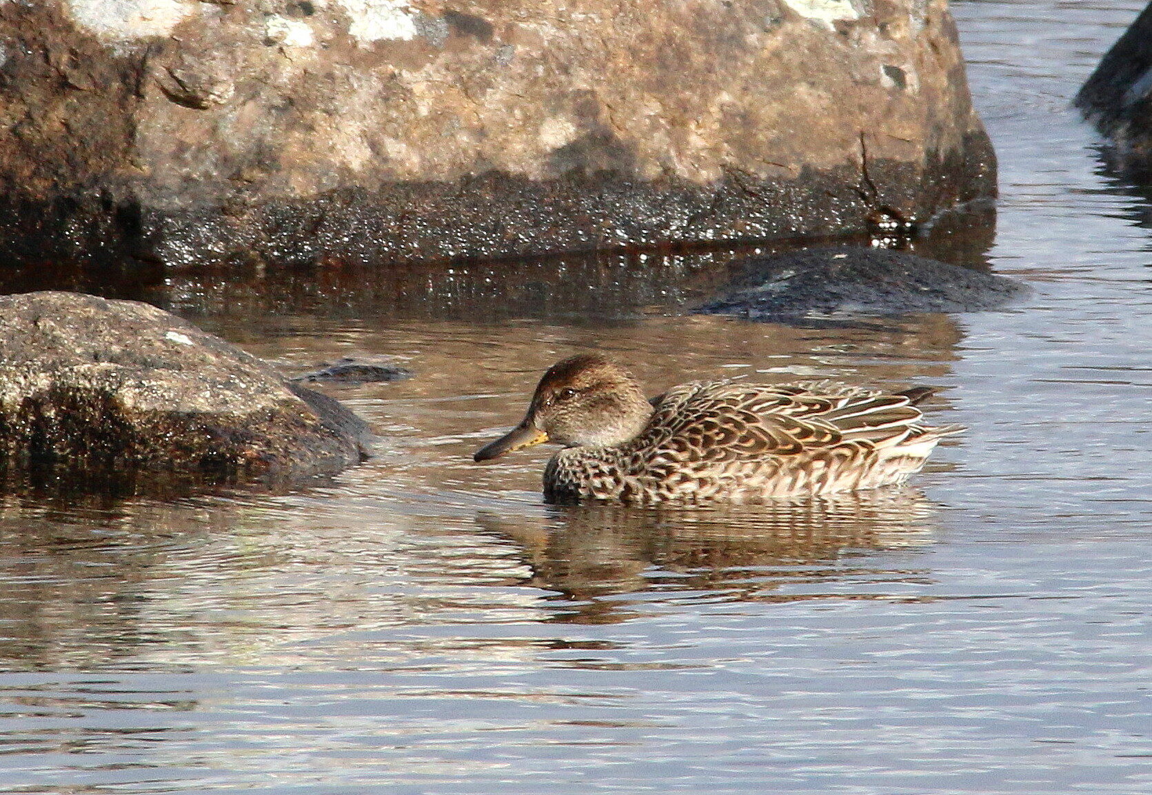 Valokuvaaja: Tuukka Pahtamaa Valokuvaaja: Tuukka Pahtamaa