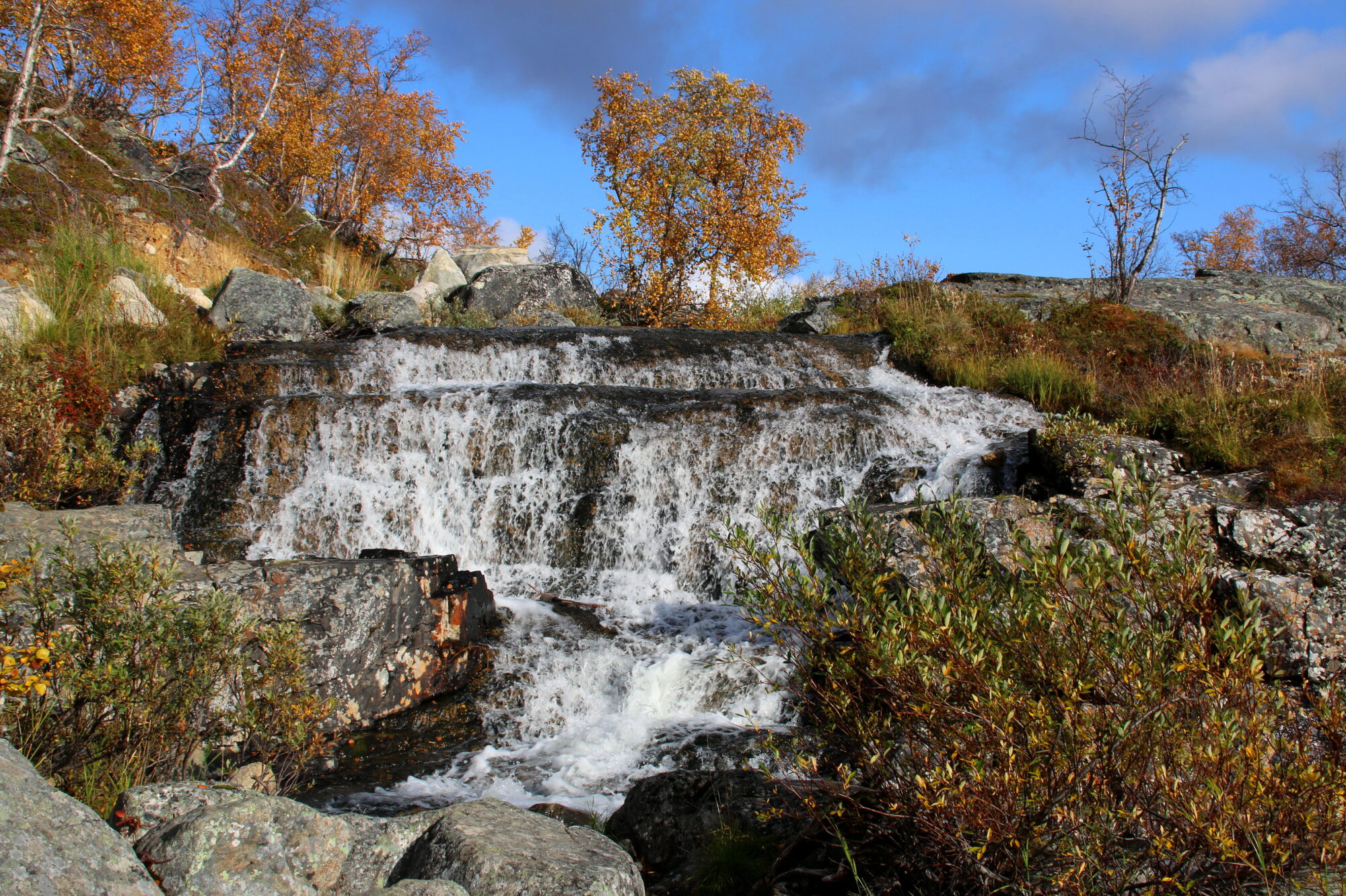 Valokuvaaja: Tuukka Pahtamaa