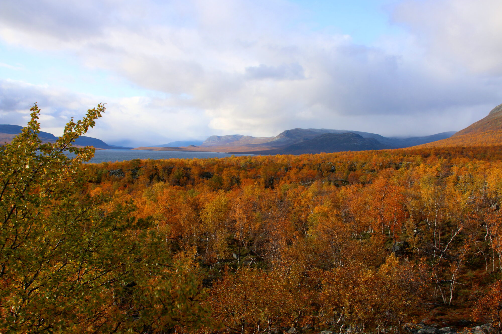 Valokuvaaja: Tuukka Pahtamaa