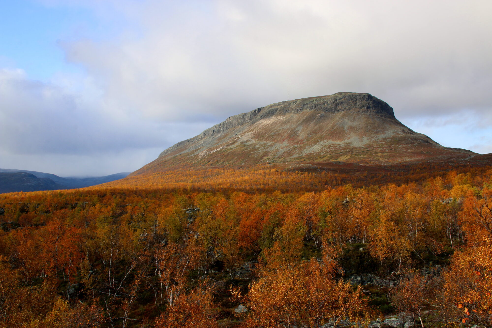 Valokuvaaja: Tuukka Pahtamaa