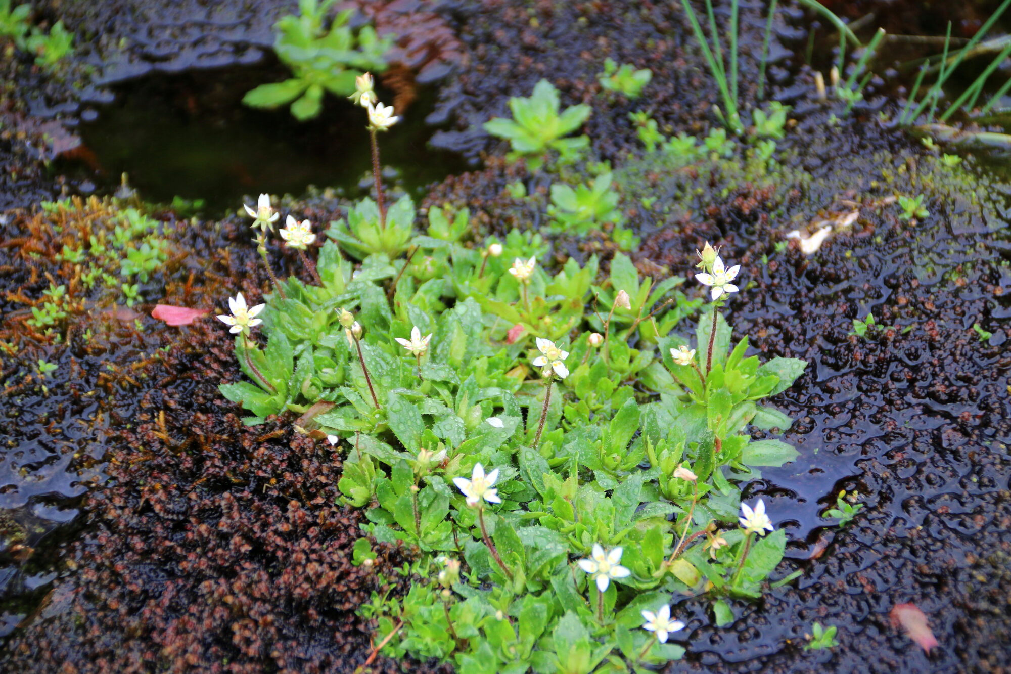 Valokuvaaja: Tuukka Pahtamaa