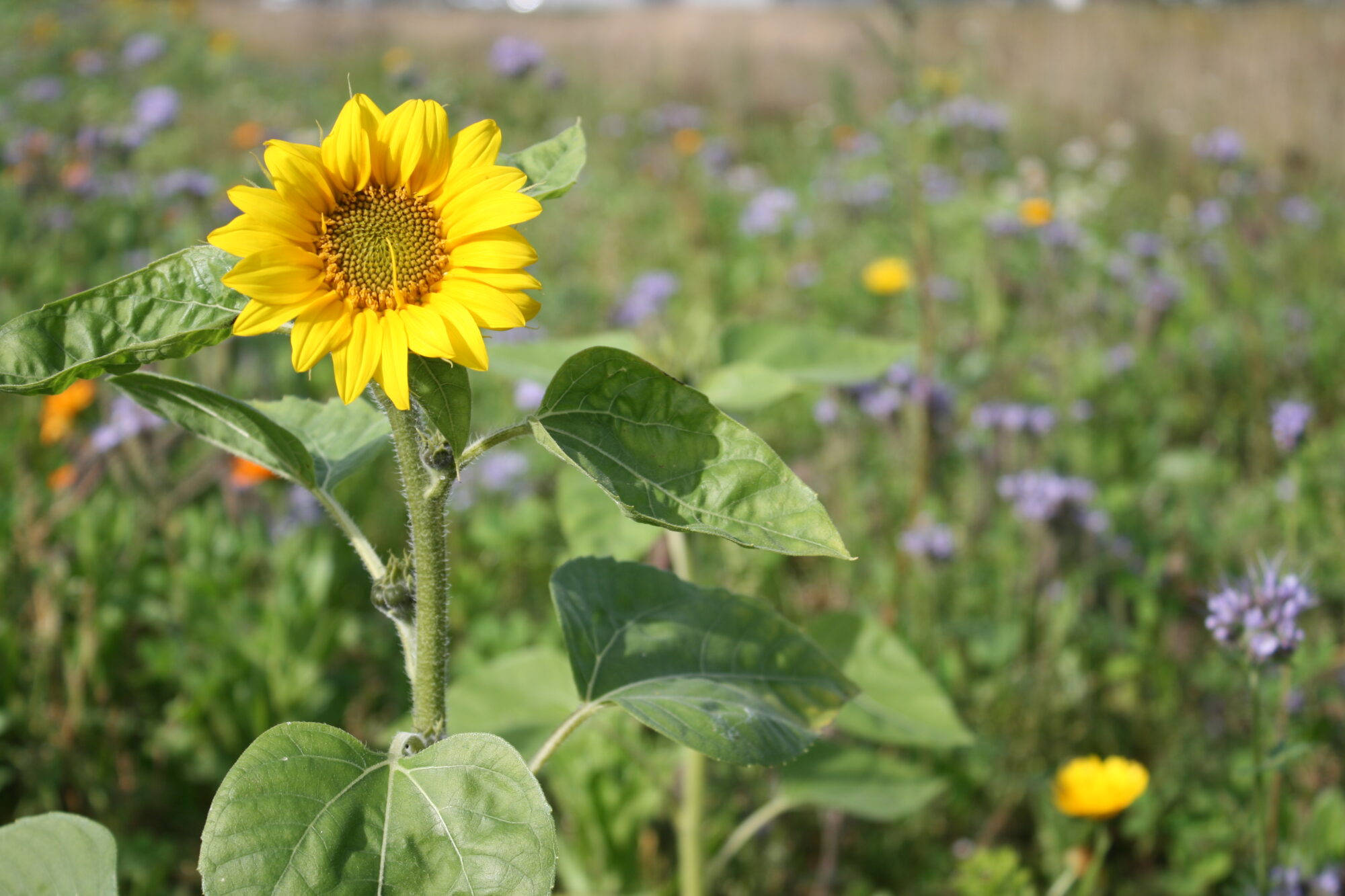 Valokuvaaja: Katri Mäkinen