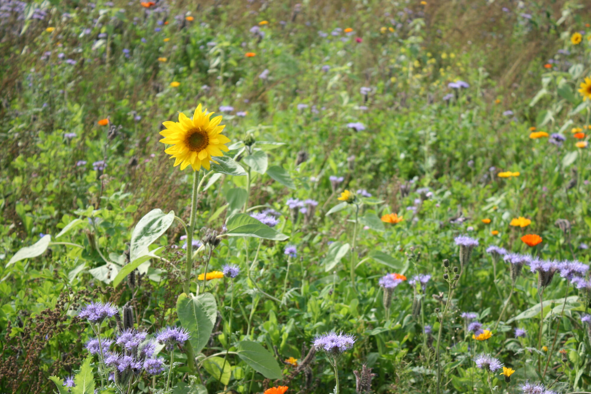 Valokuvaaja: Katri Mäkinen