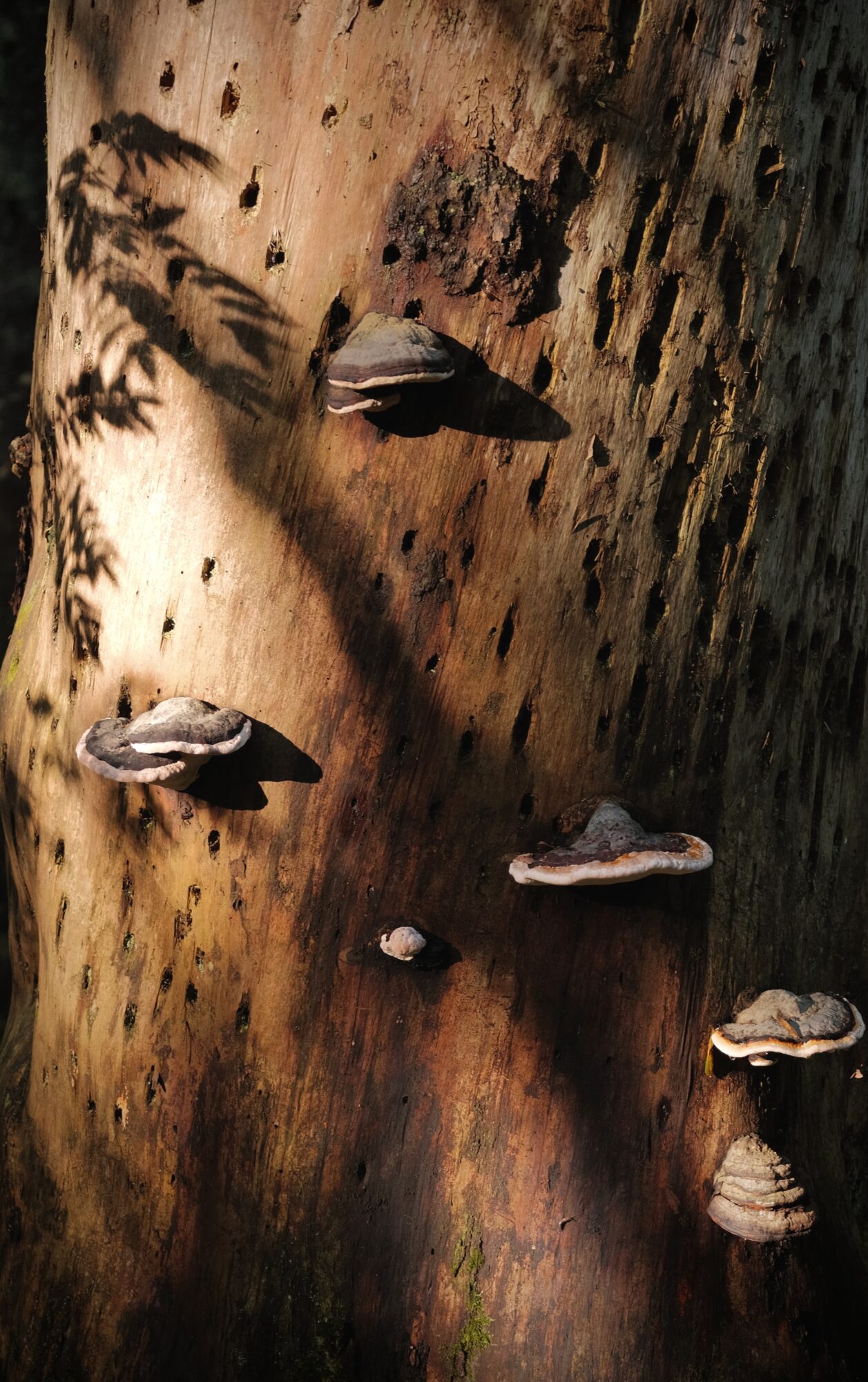 Valokuvaaja: Sampo Kiviniemi