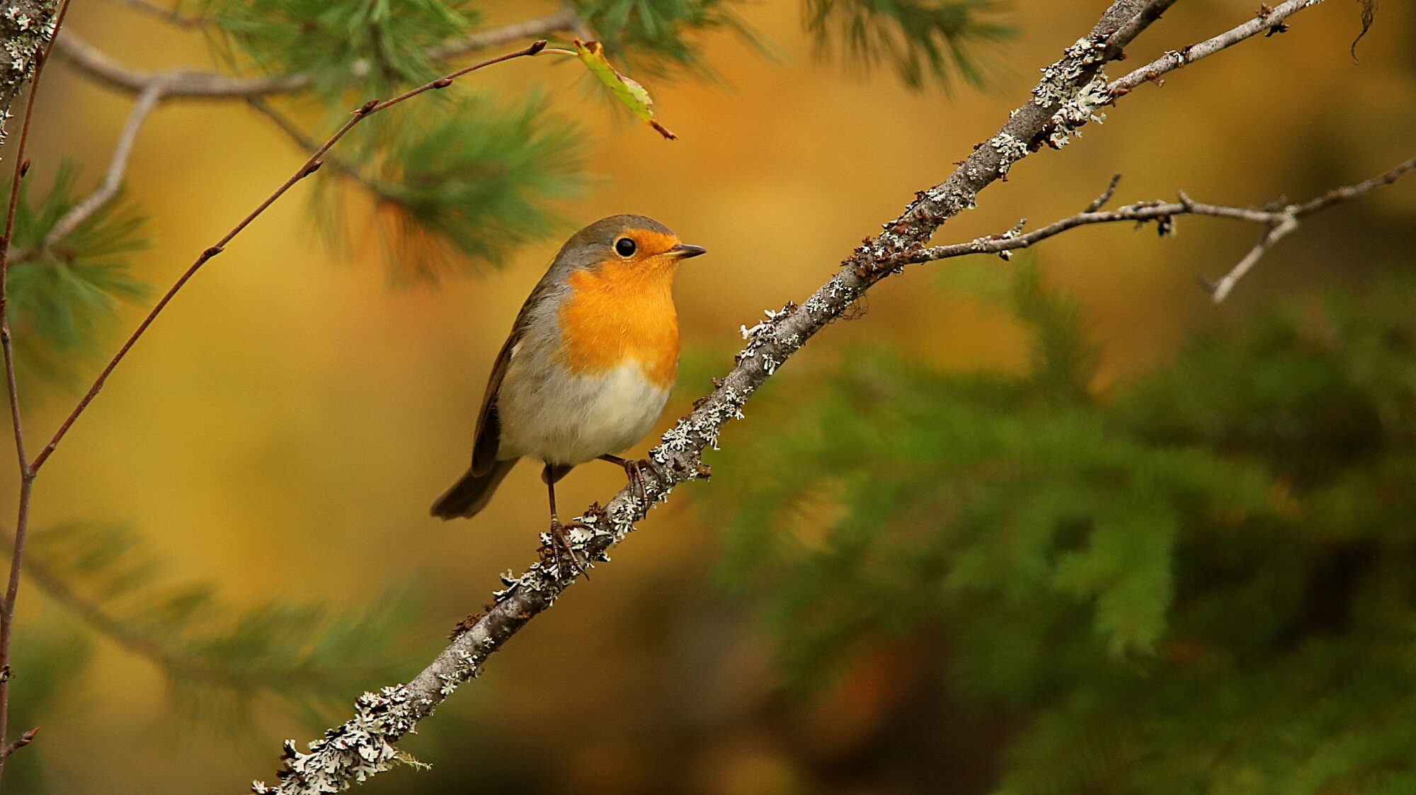 Valokuvaaja: sirpa Jyske