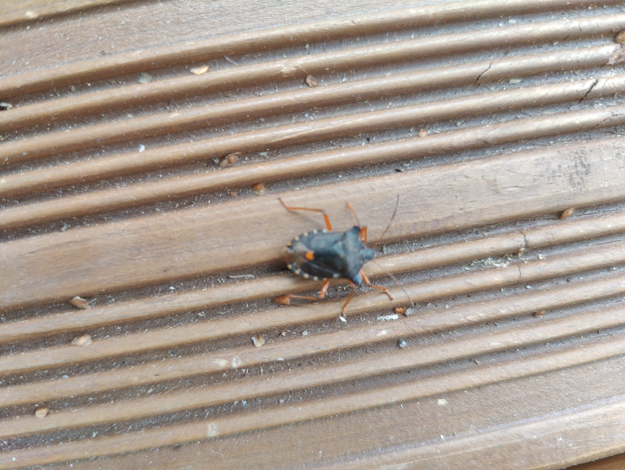 Valokuvaaja: Veikko Moilanen