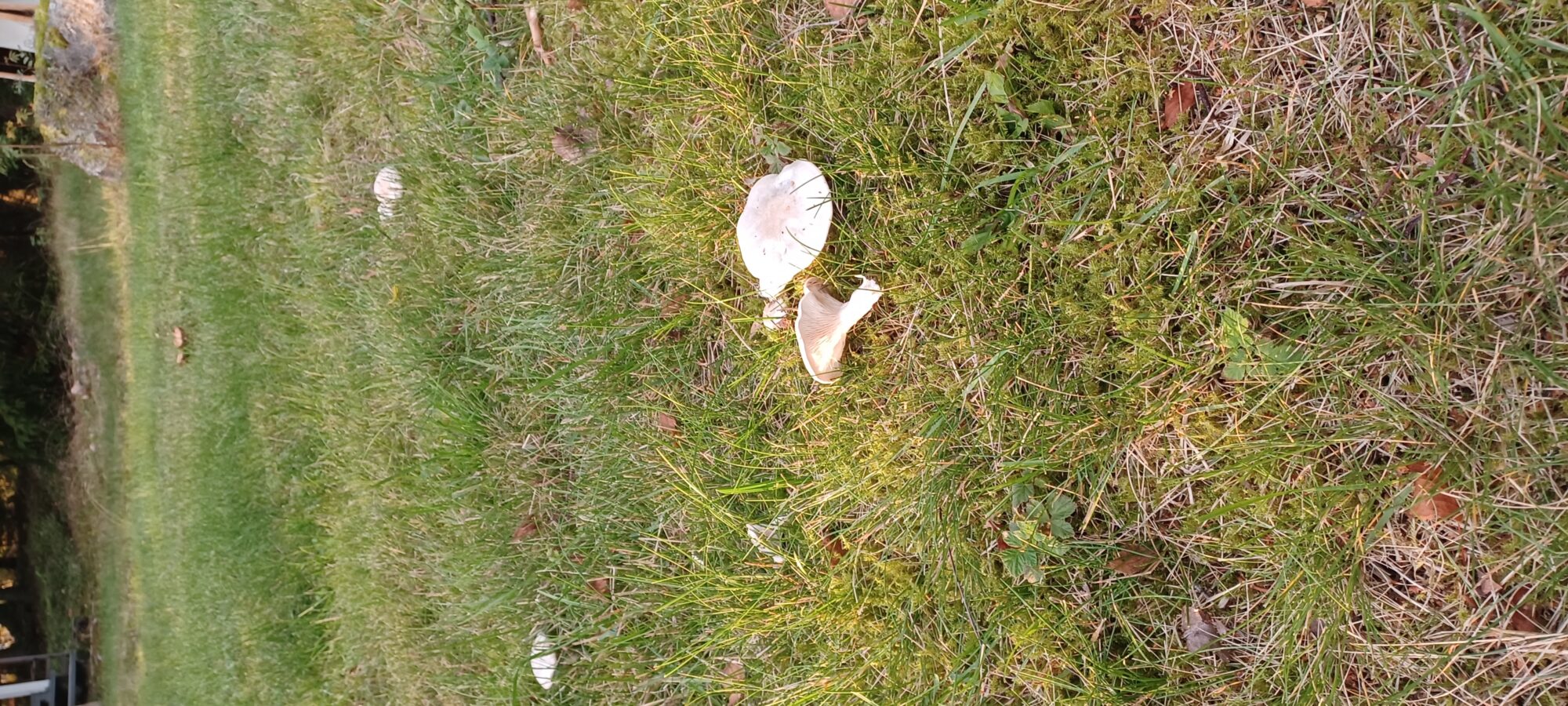 Valokuvaaja: Teemu Järvenpää