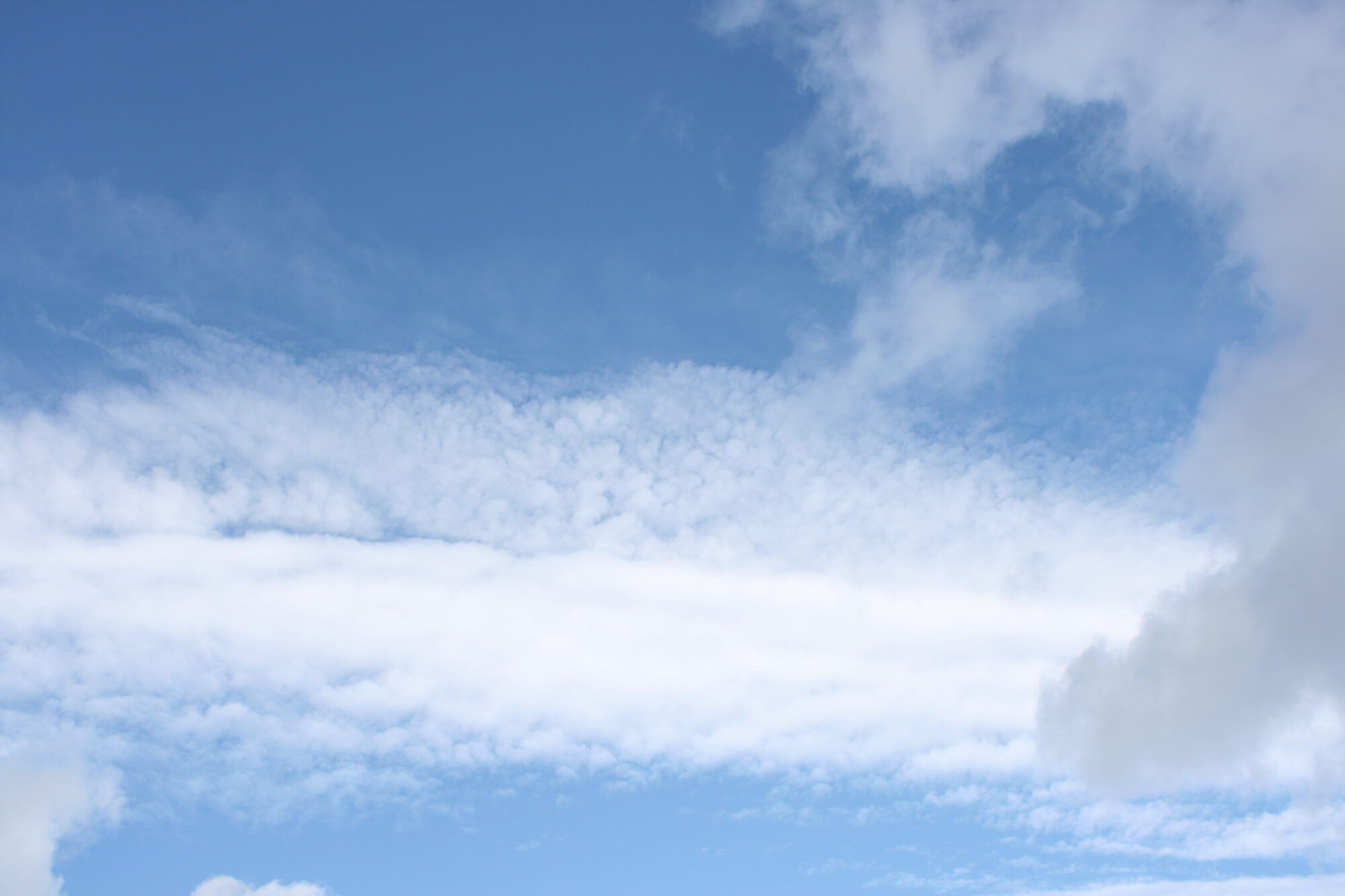 Valokuvaaja: Katri Mäkinen