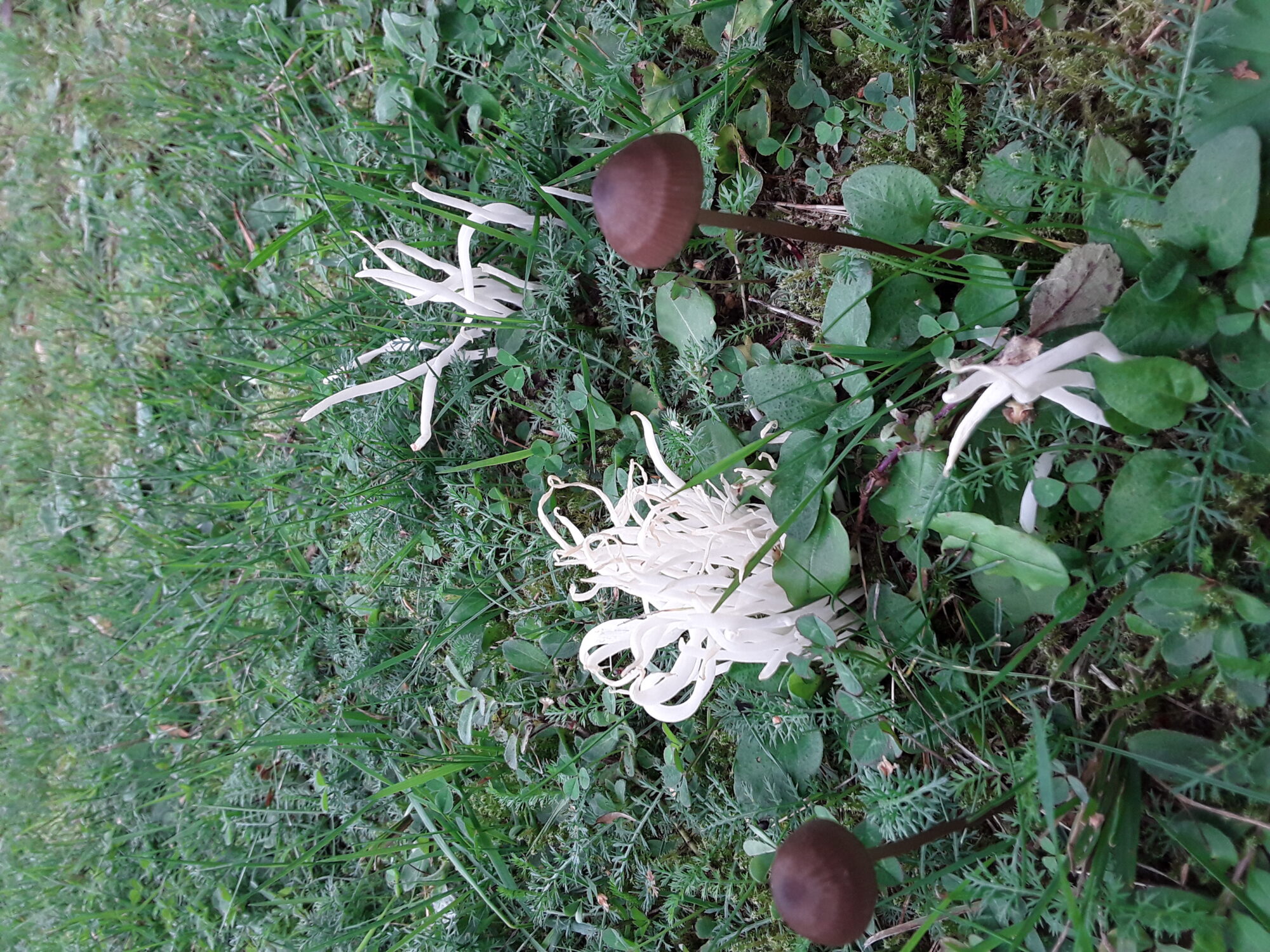 Valokuvaaja: Tarja Rosell Valokuvaaja: Tarja Rosell