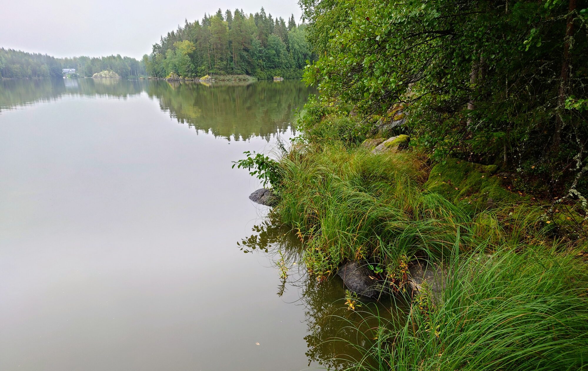 Valokuvaaja: Kati Westerlund