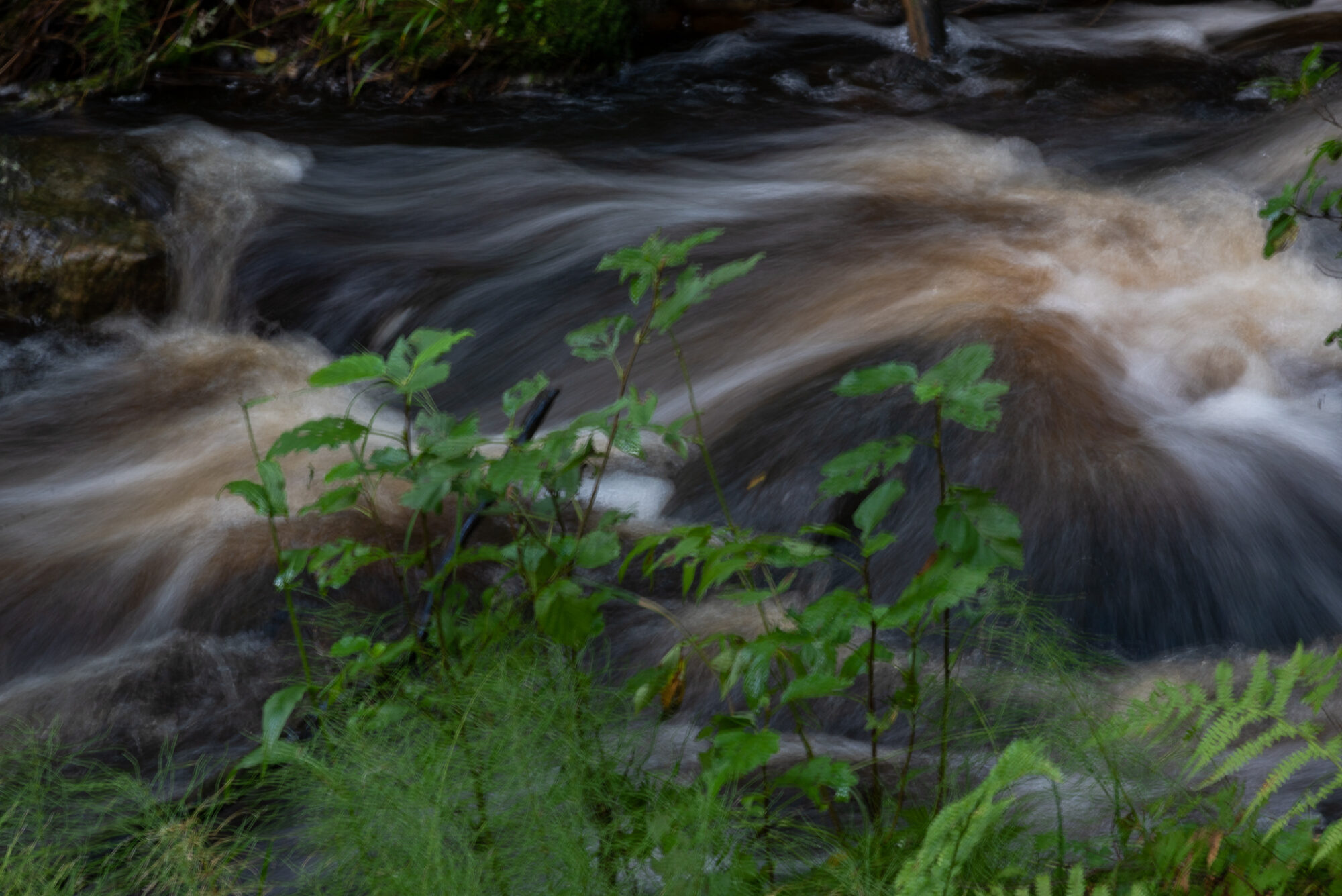 Valokuvaaja: Helena Minkkilä Valokuvaaja: Helena Minkkilä