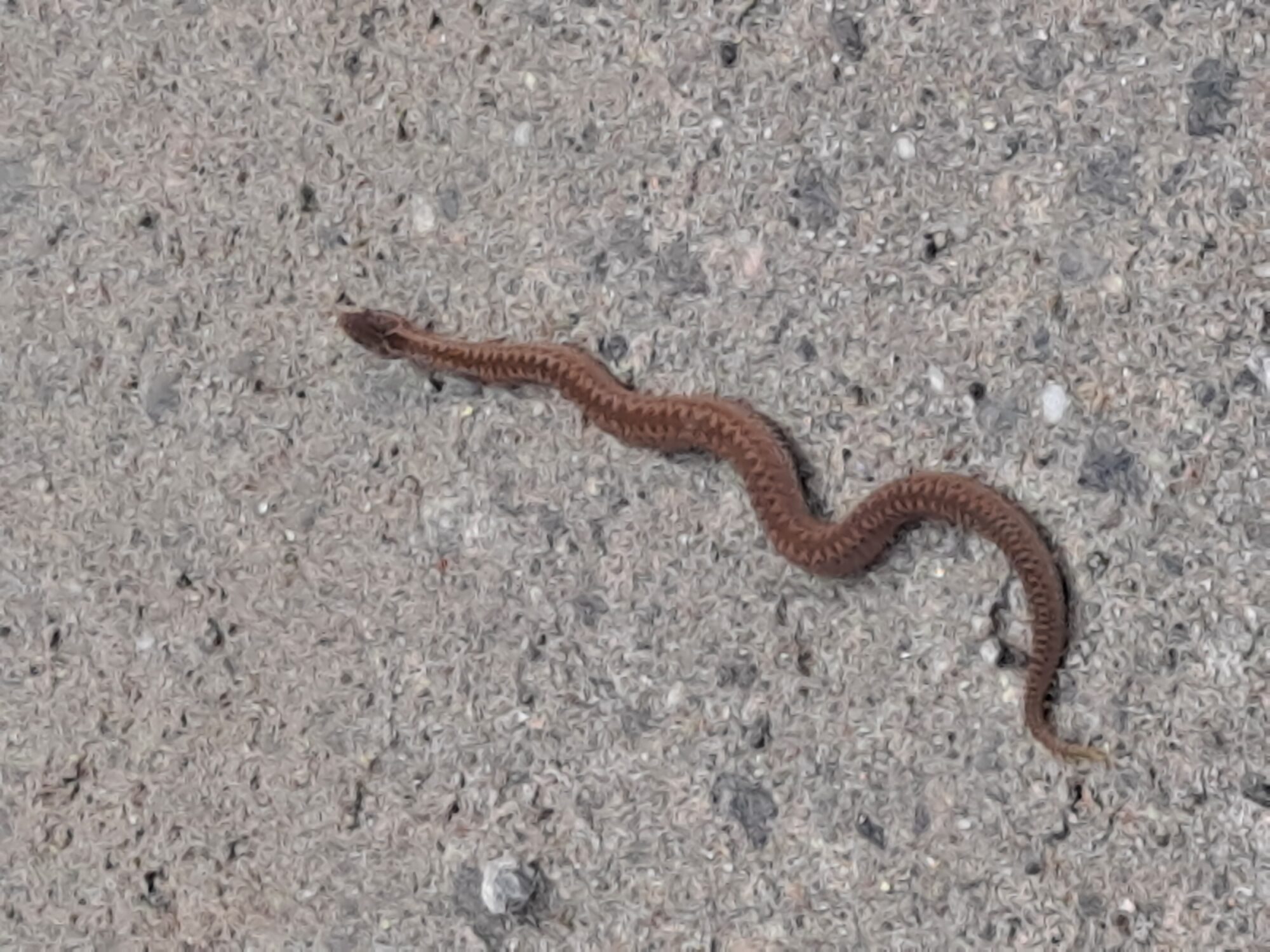 Valokuvaaja: Satu Suuntala