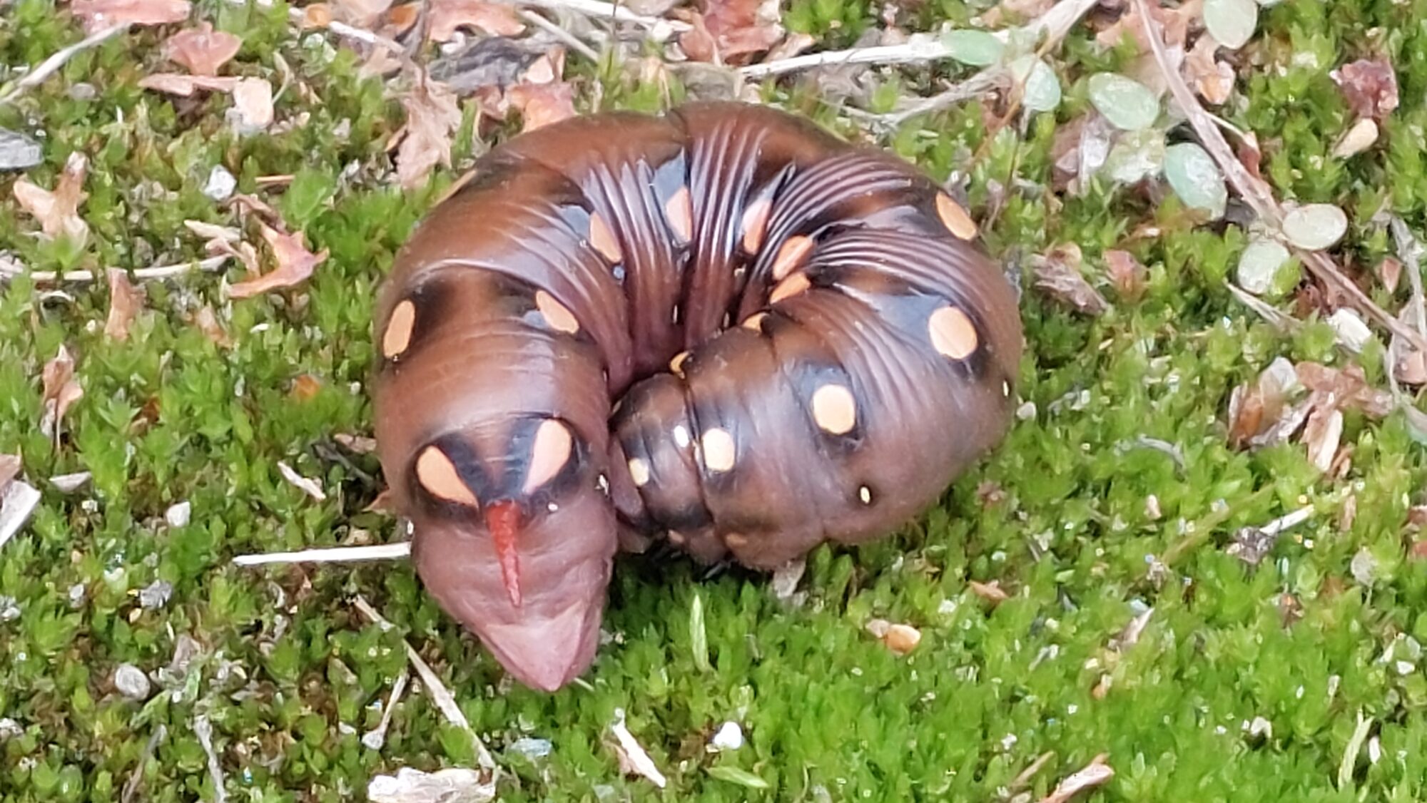 Valokuvaaja: Tarja Naukkarinen