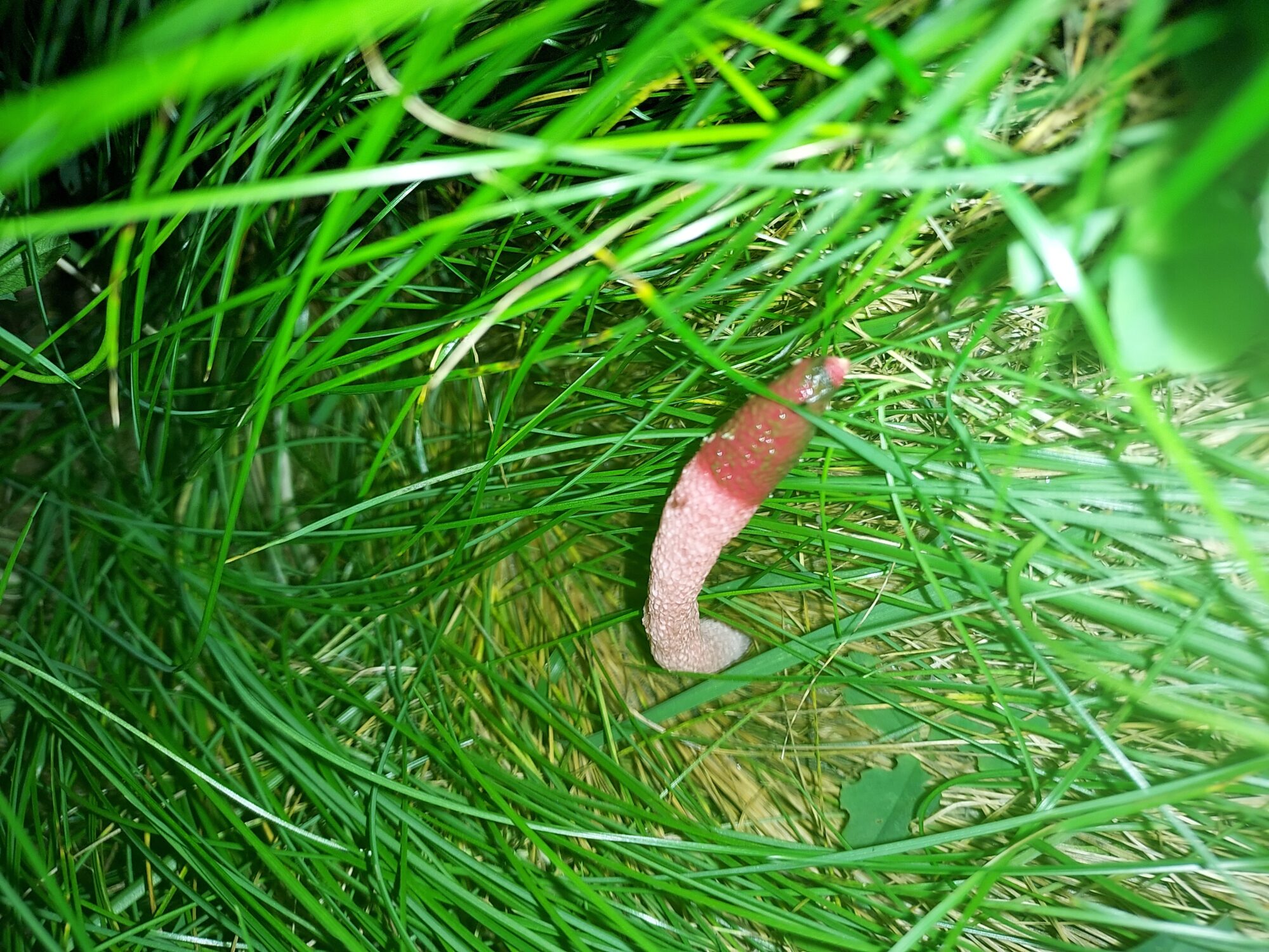 Valokuvaaja: Elina Leppäkari