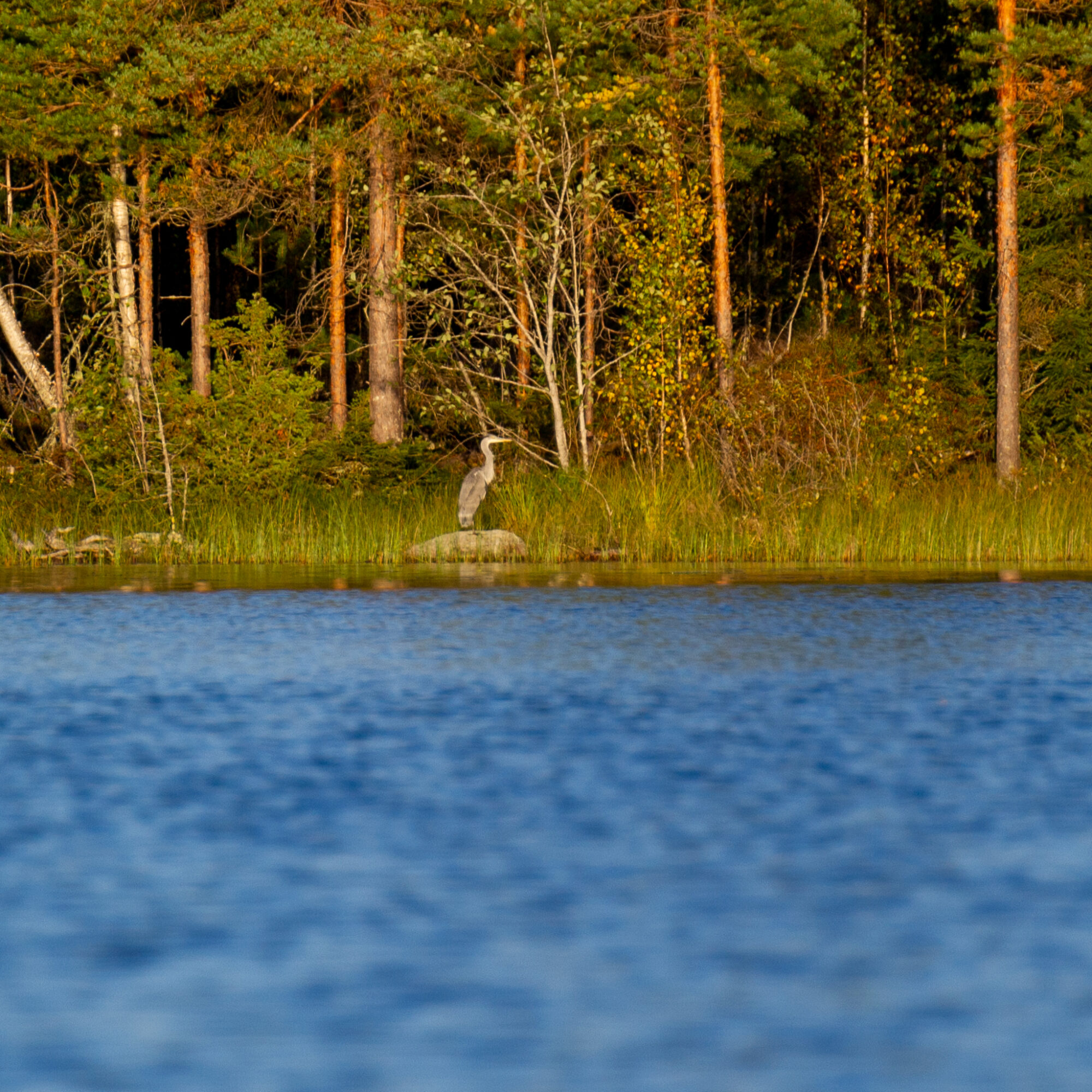 Valokuvaaja: Helena Minkkilä